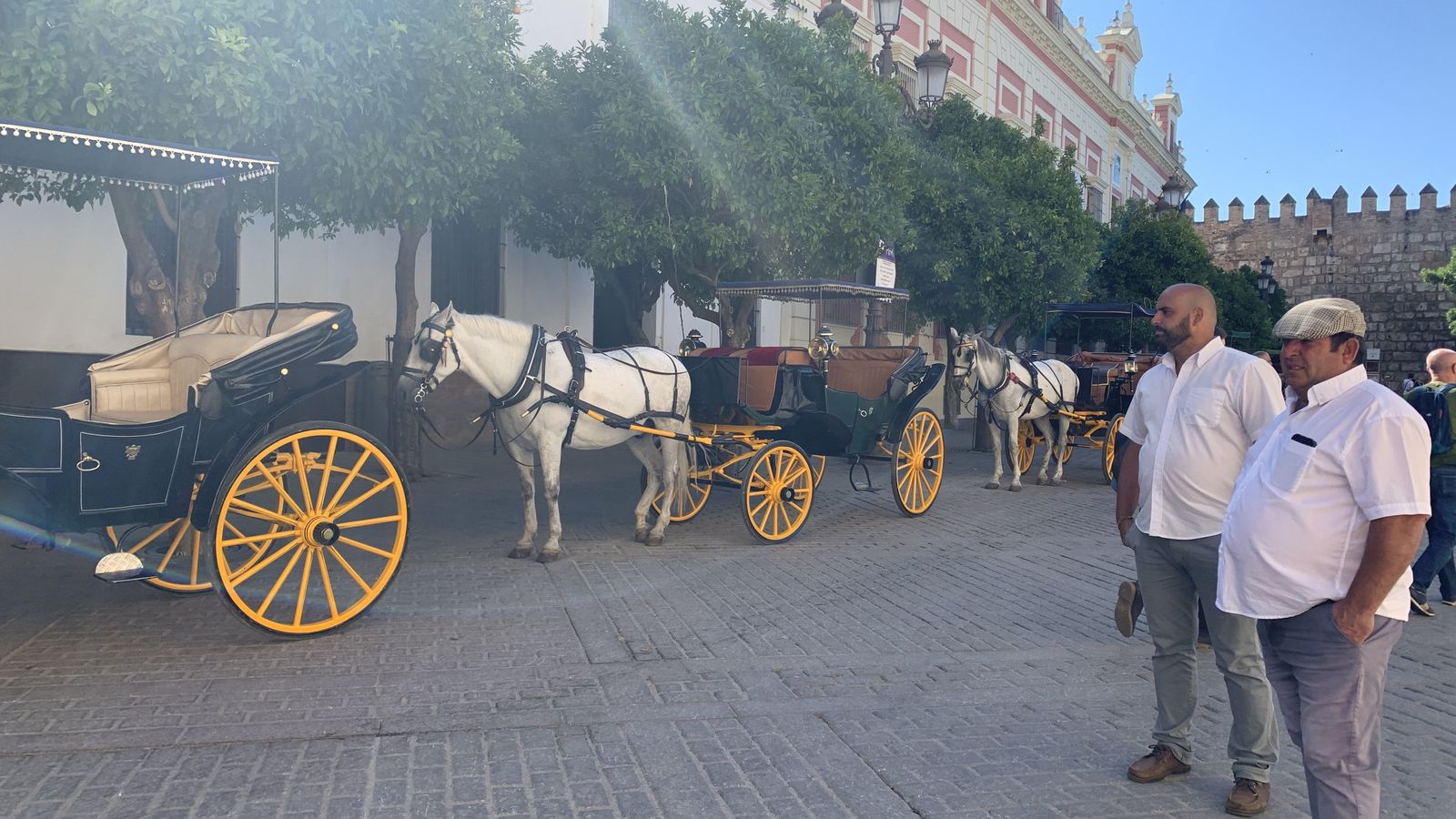 Los cocheros tendrán que desalojar su ubicación habitual con motivo de la boda de Sergio Ramos.