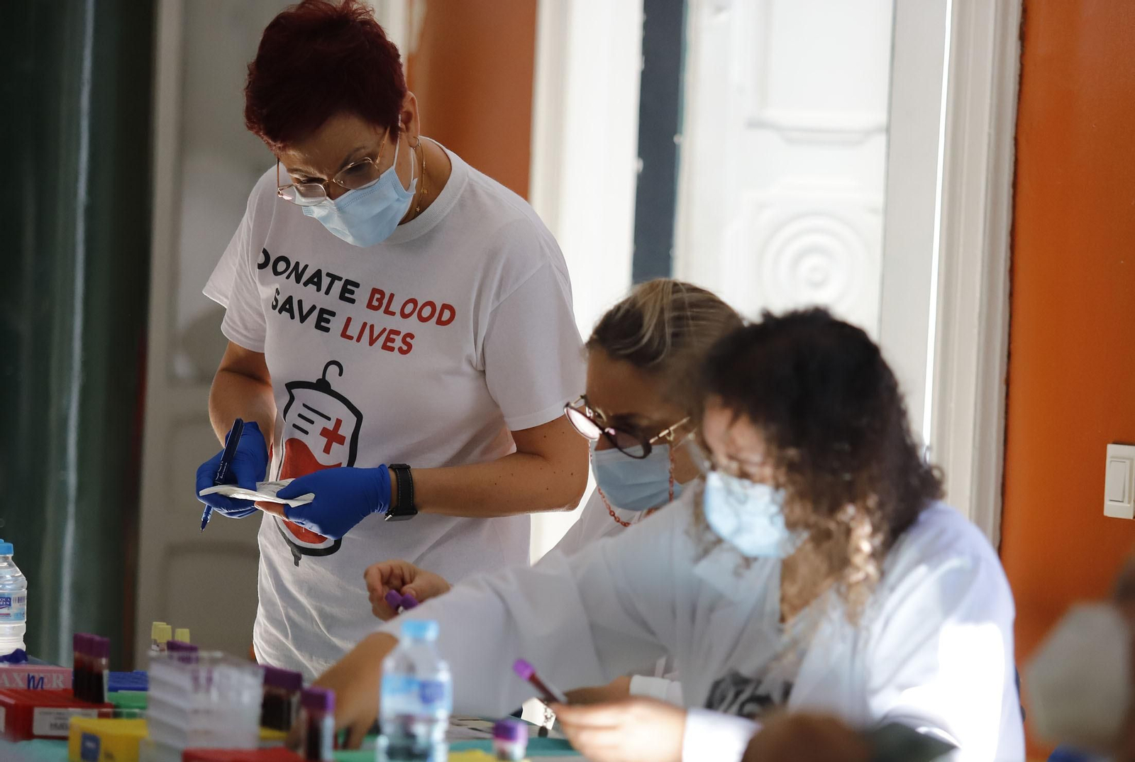 Macrocolecta de sangre en la Casa Colón