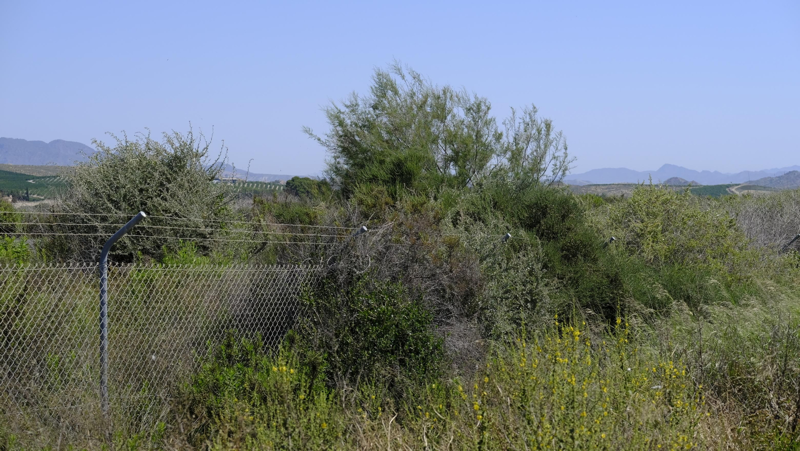Fotogalería obras del AVE en la provincia de Almería