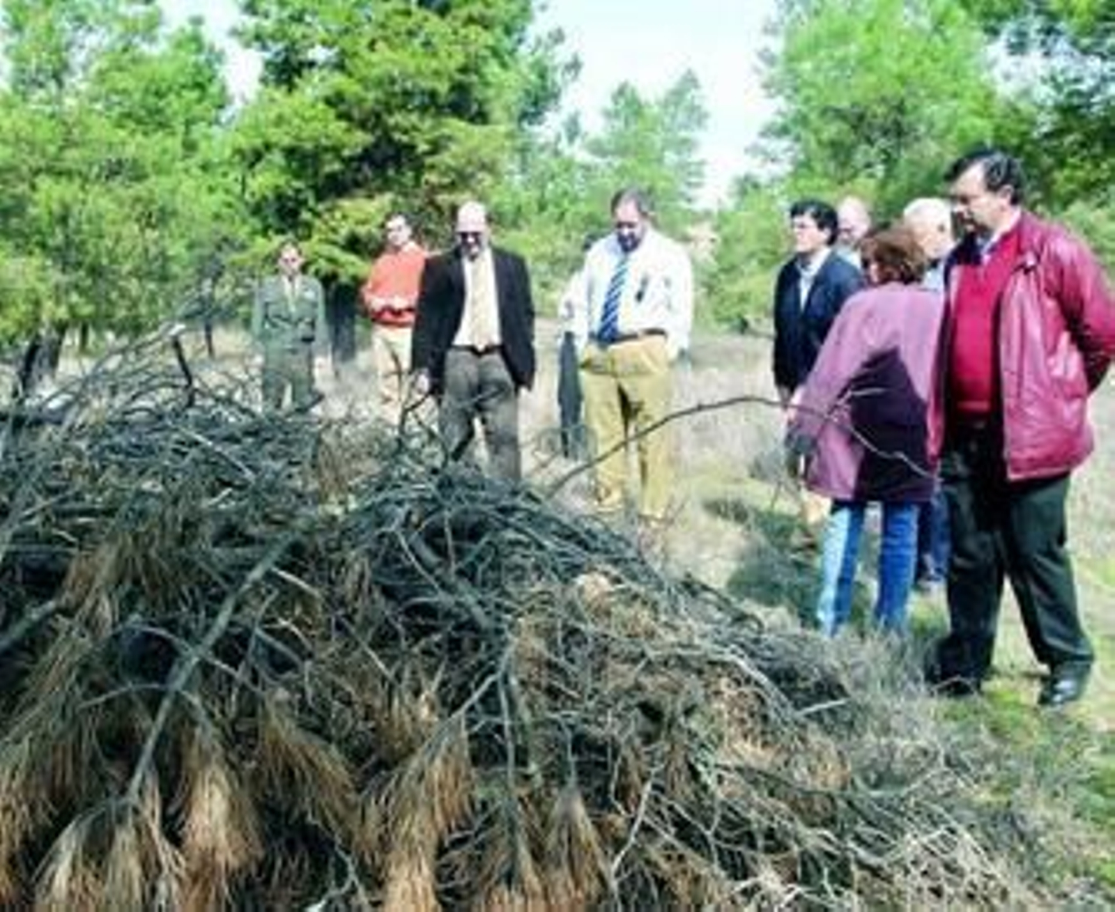 Detalle de un majano construido en el Parque Natural de la Sierra de Cardeña-Montoro.