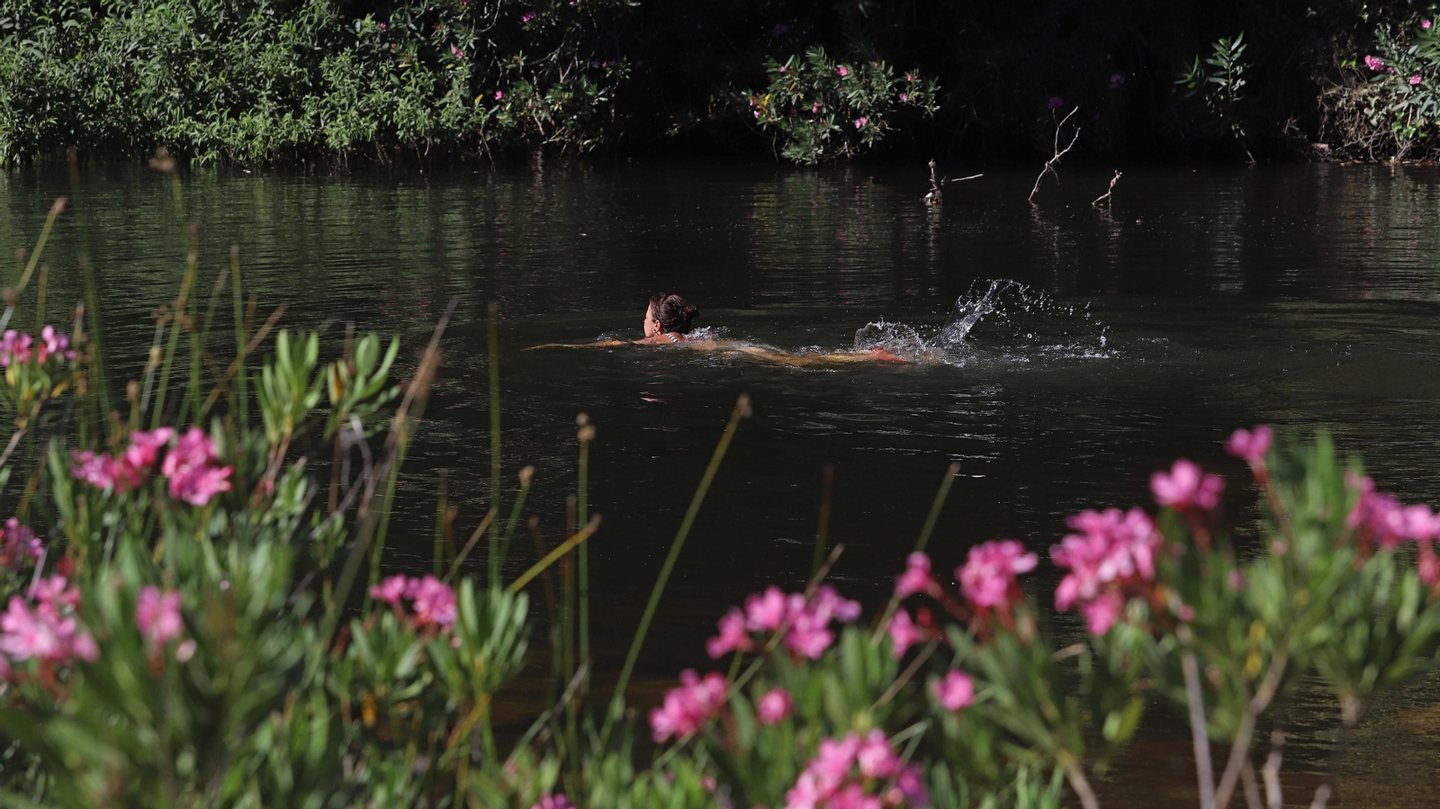 Las mejores fotos del sendero del Río Hozgarganta