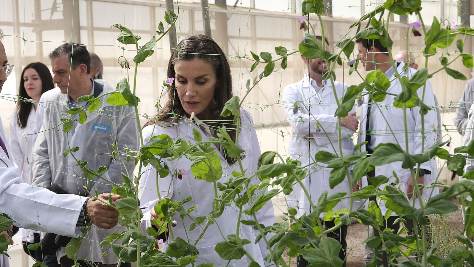 La visita de la reina Letizia a El Ejido, en imágenes