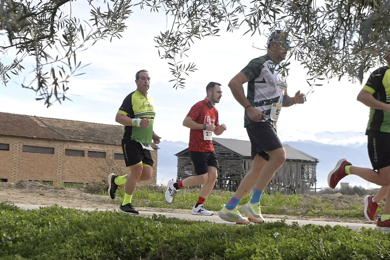 Las imágenes de la Carrera de la Ruta del Secadero de Cúllar Vega