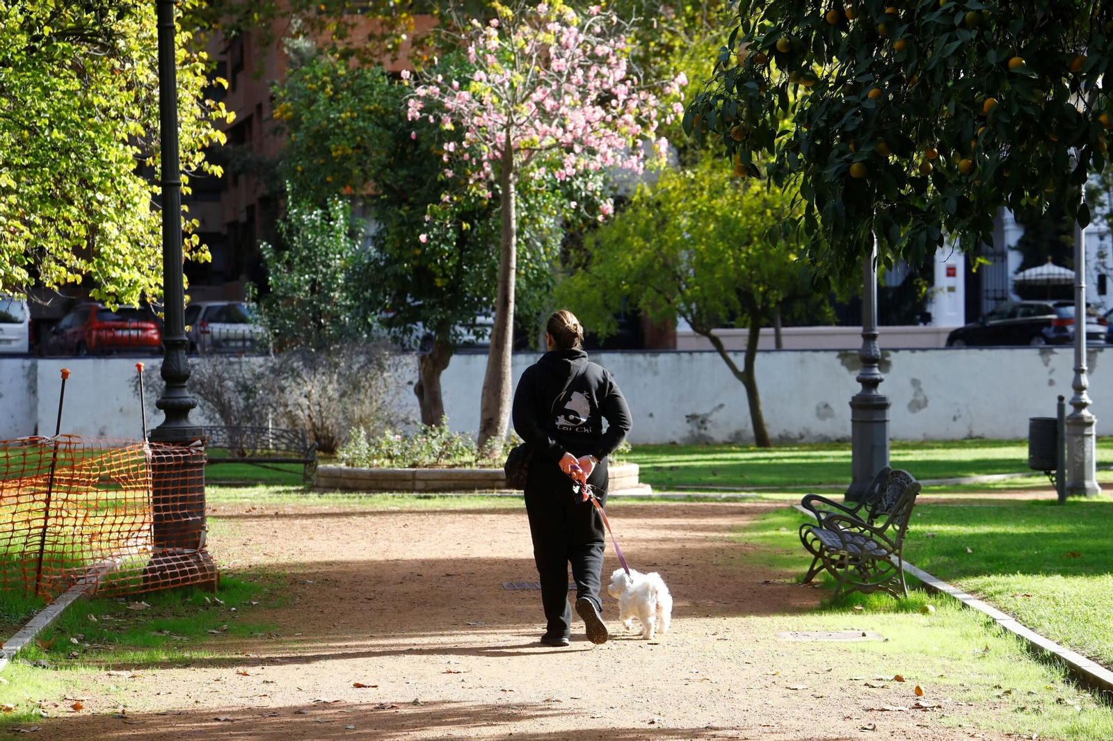 La belleza de los Jardines de la Agricultura de Córdoba, en imágenes