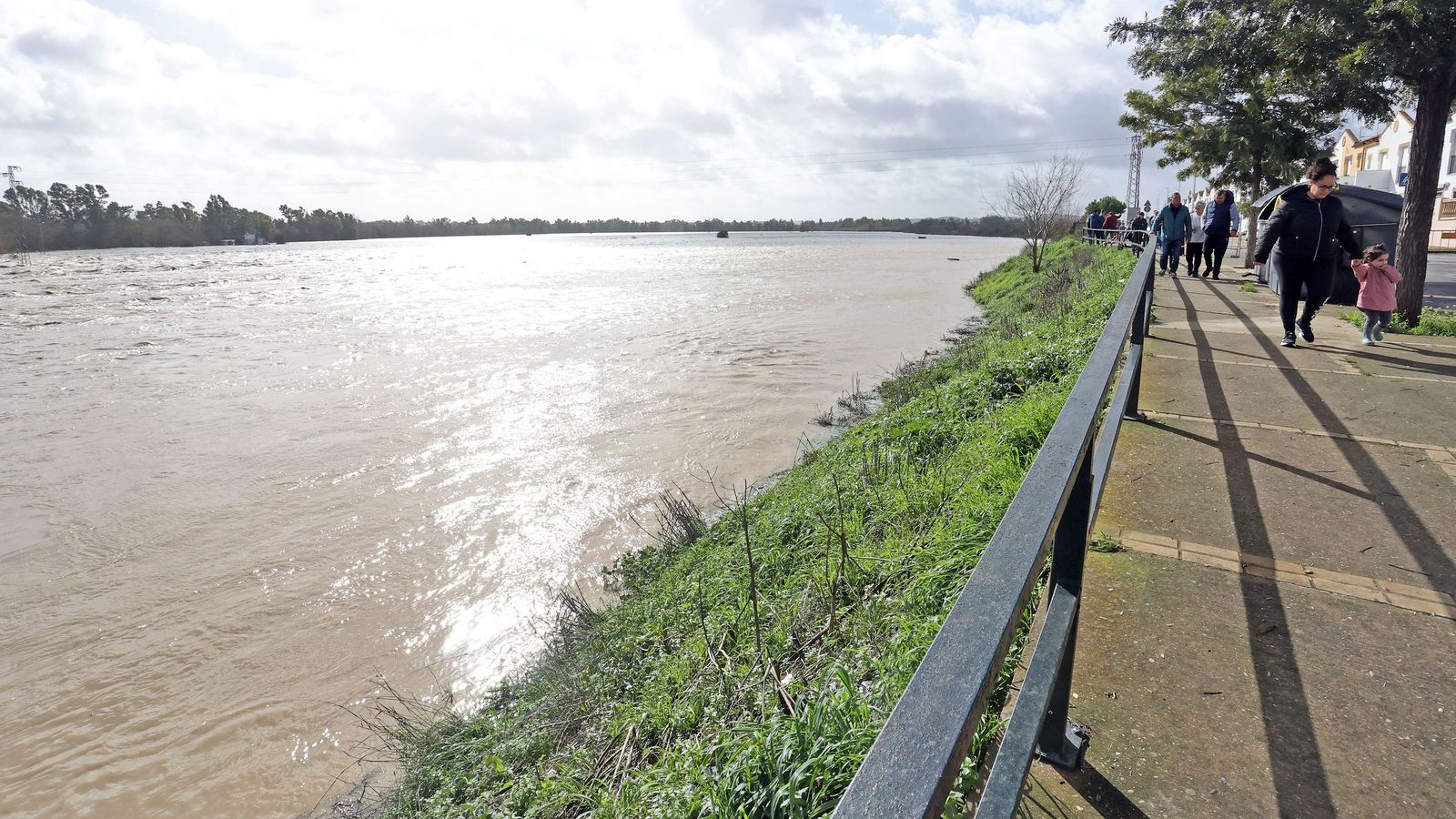 Así afronta la zona rural de Jerez la subida del río Guadalete