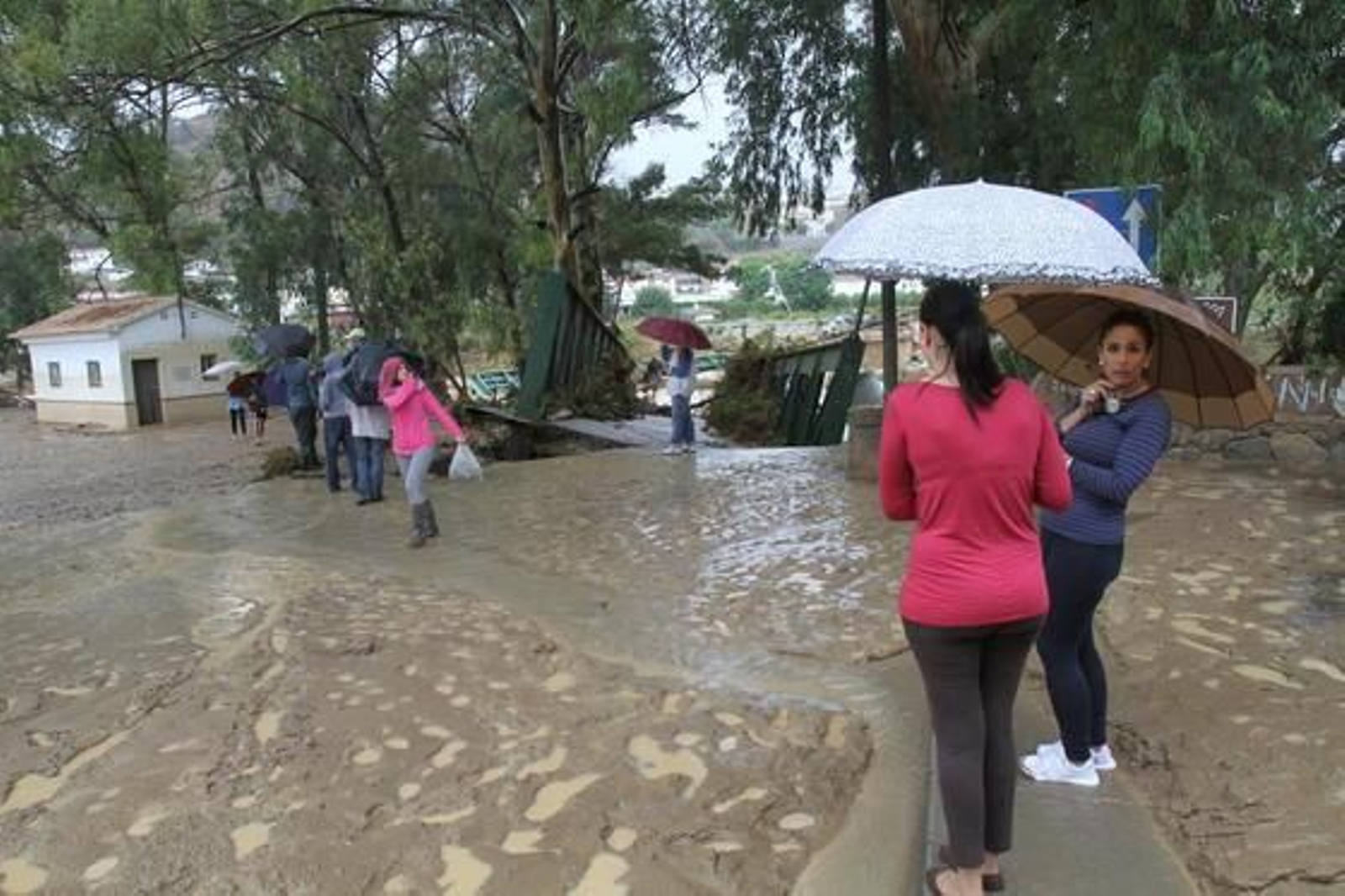 Imágenes de las lluvias en la provincia de Málaga