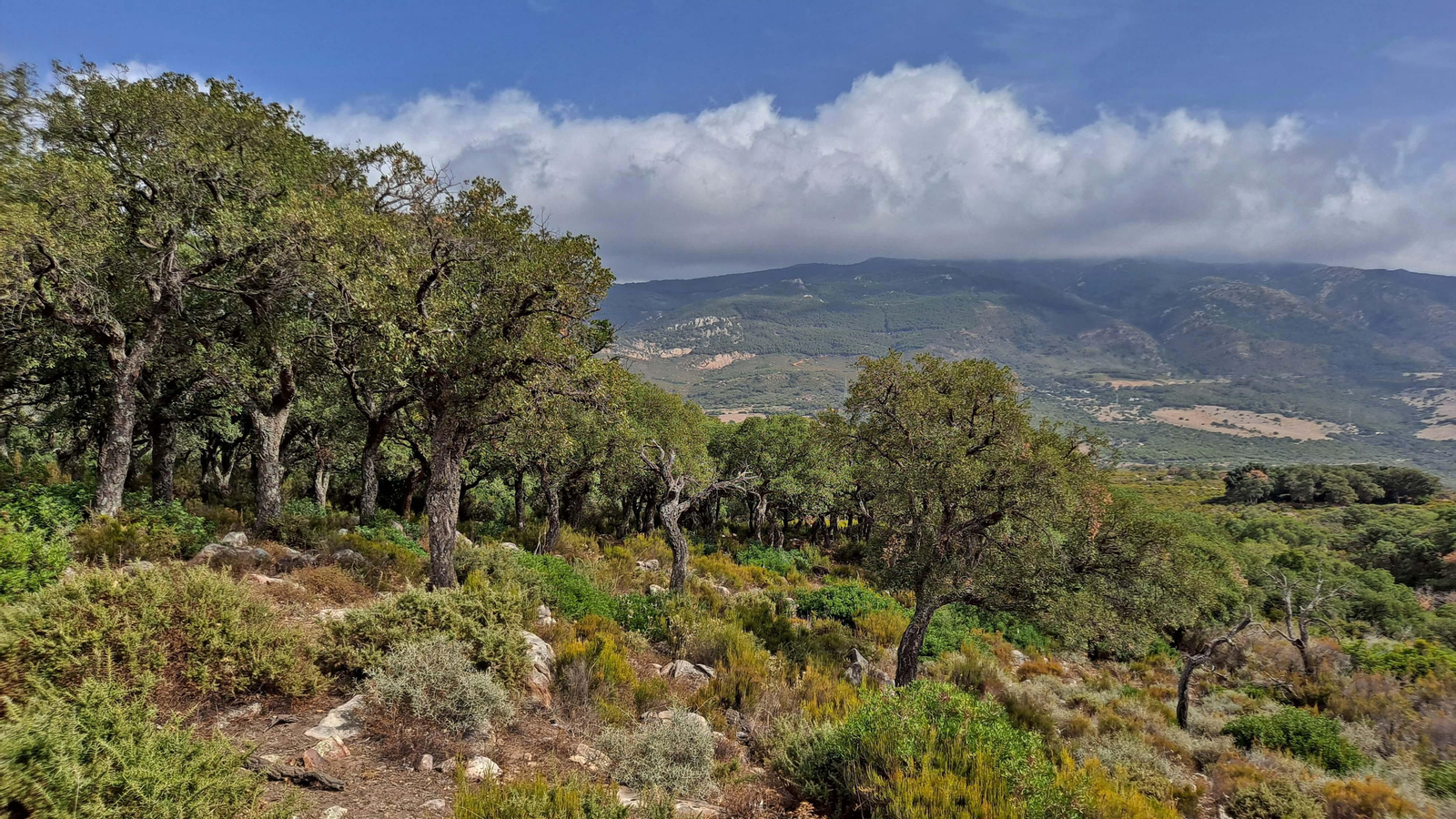 Fotos del sendero de la garganta del Rayo en Tarifa