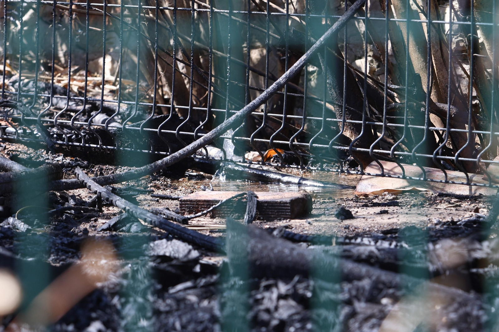 Las fotos de los efectos del incendio forestal en la Sierra de la Plata y Atlanterra, en Tarifa