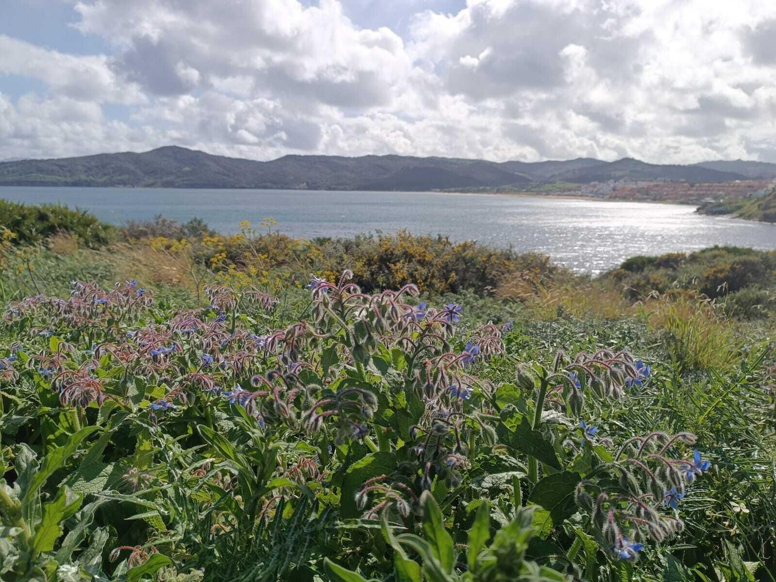 El Parque del Centenario rebosa de colores en primavera