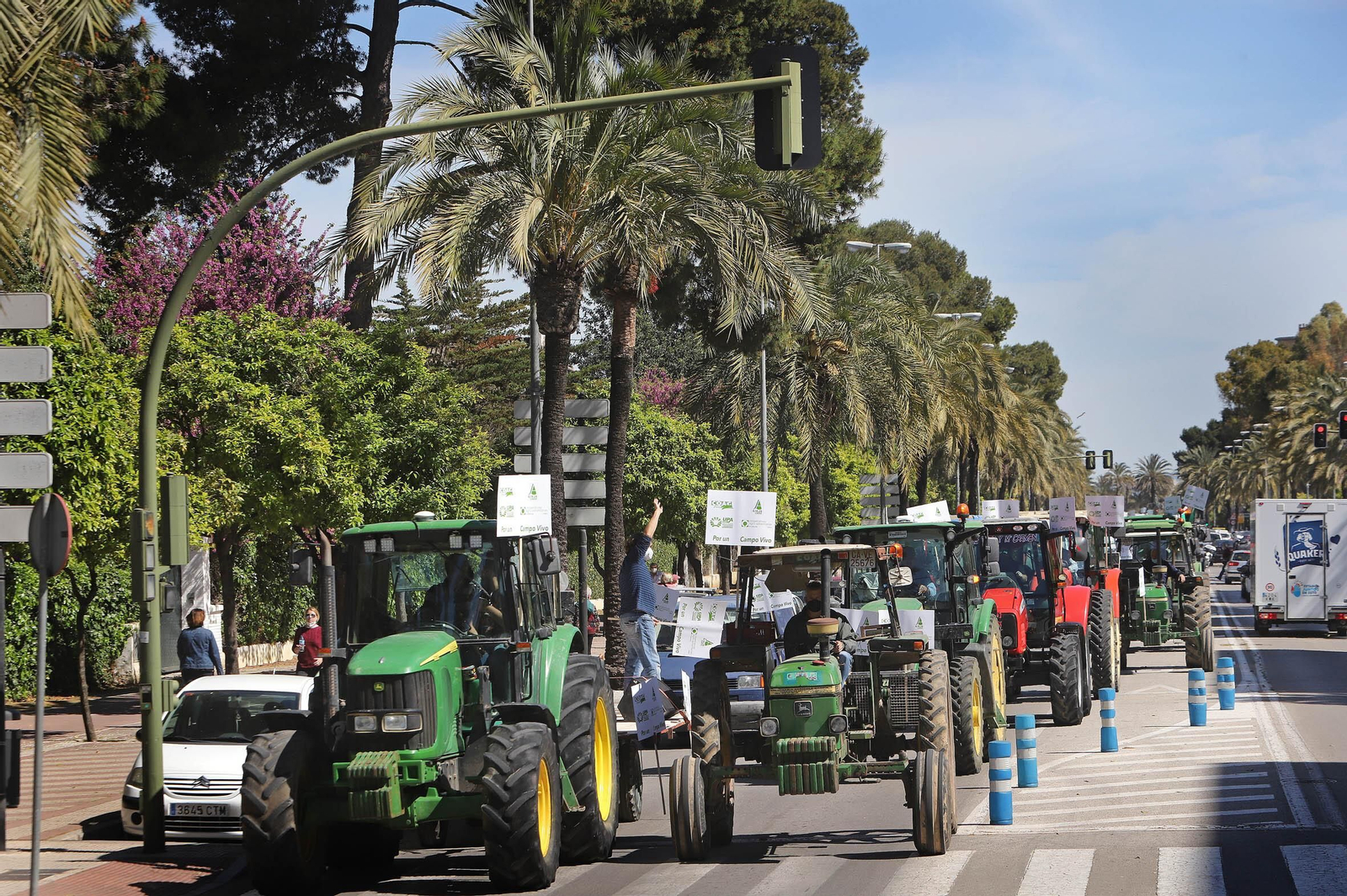 Tractores a su paso esta mañana por la avenida. Tractores a su paso esta mañana por la avenida.