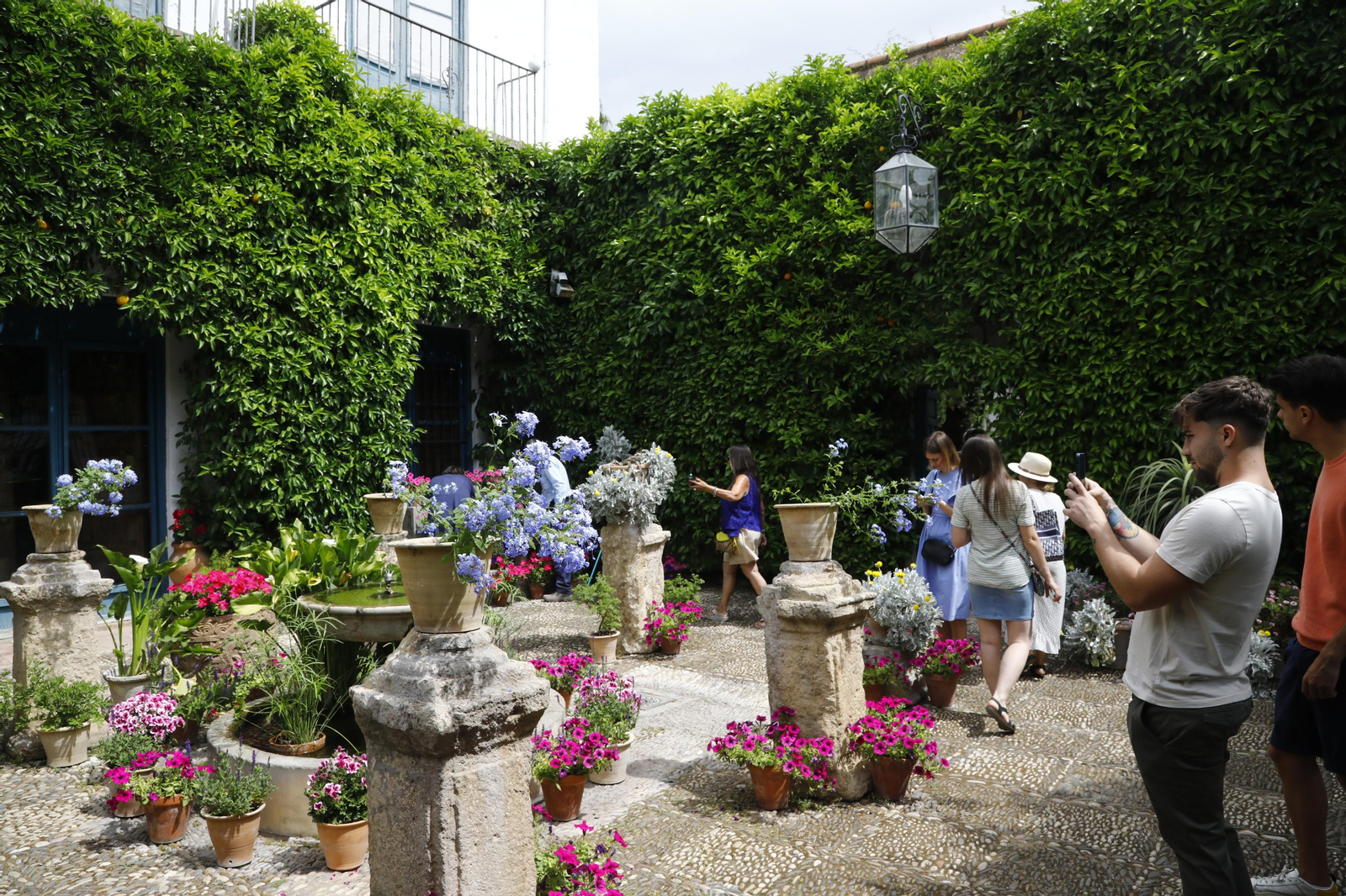 La jornada de puertas abiertas en el Palacio de Viana de Cordoba, en imágenes