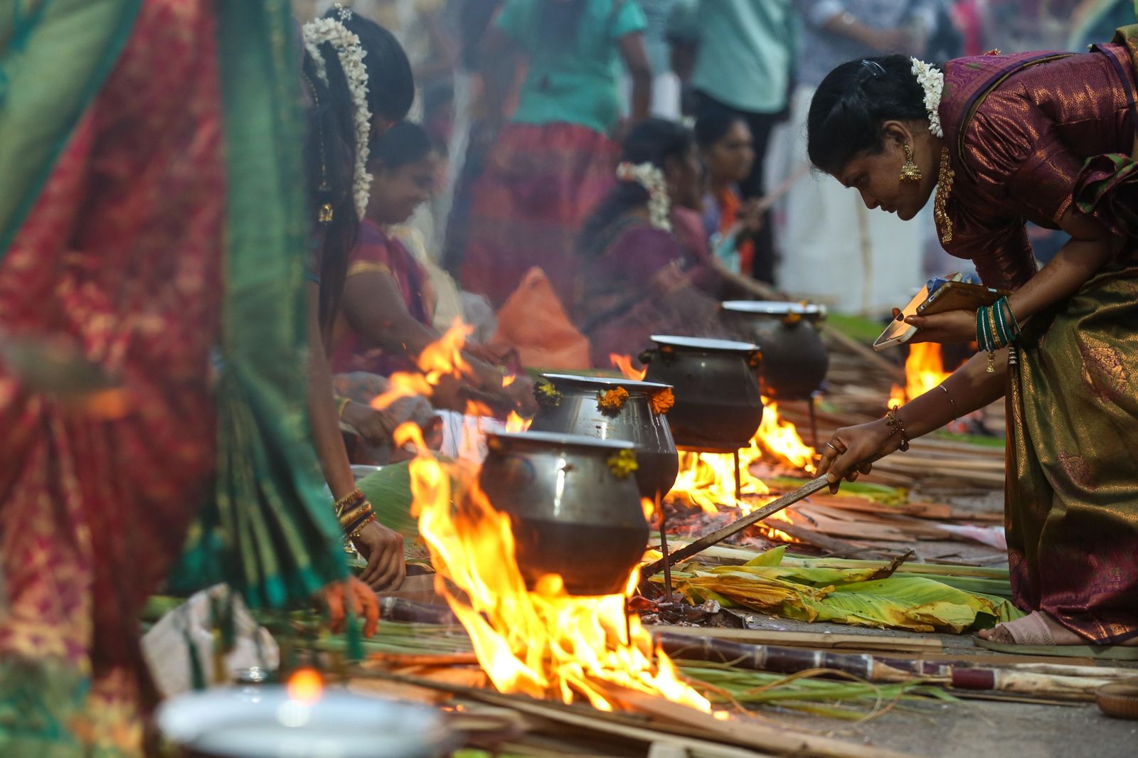 Las preciosas imágenes del Festival Thai Pongal en India