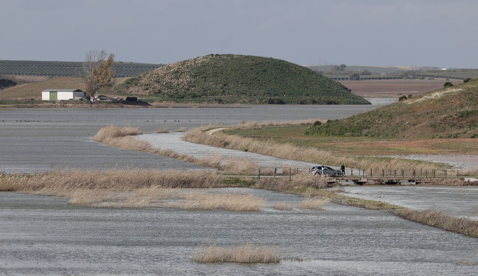 Las fotos de las inundaciones en el Palmar de Troya por la borrasca Leonardo