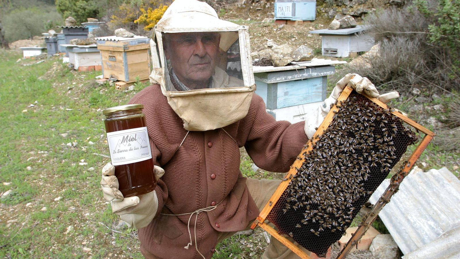Un apicultor muestra un panal y un tarro de miel de la Sierra de las Nieves.