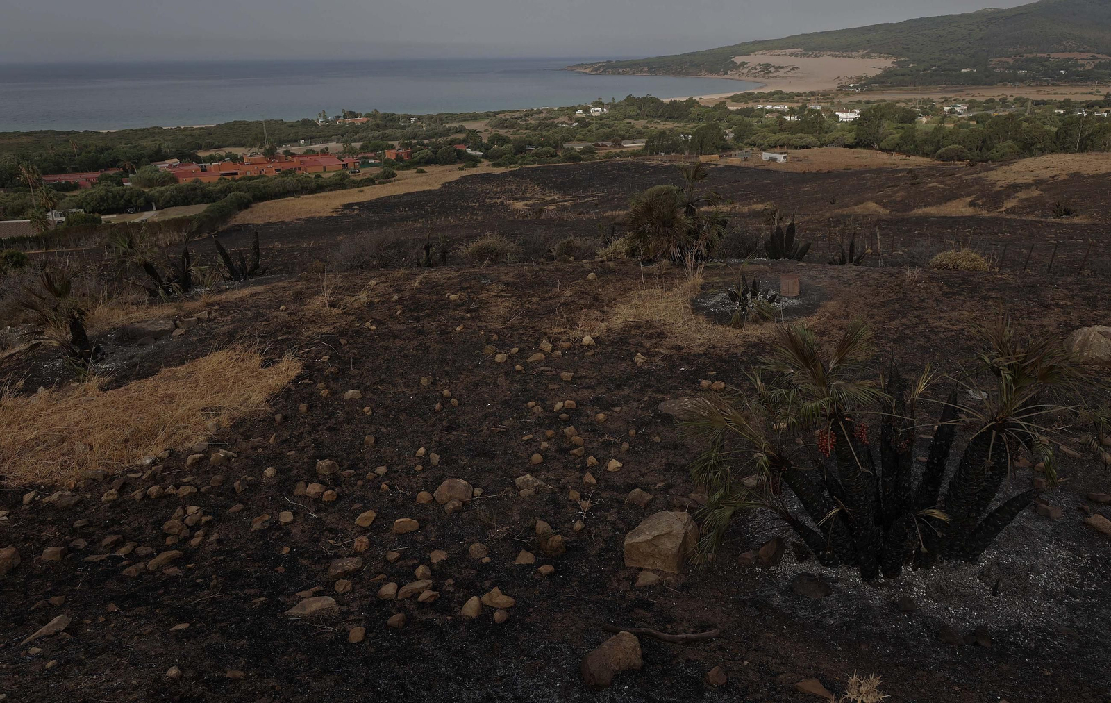 Fotos del incendio forestal de Torre de la Peña en Tarifa