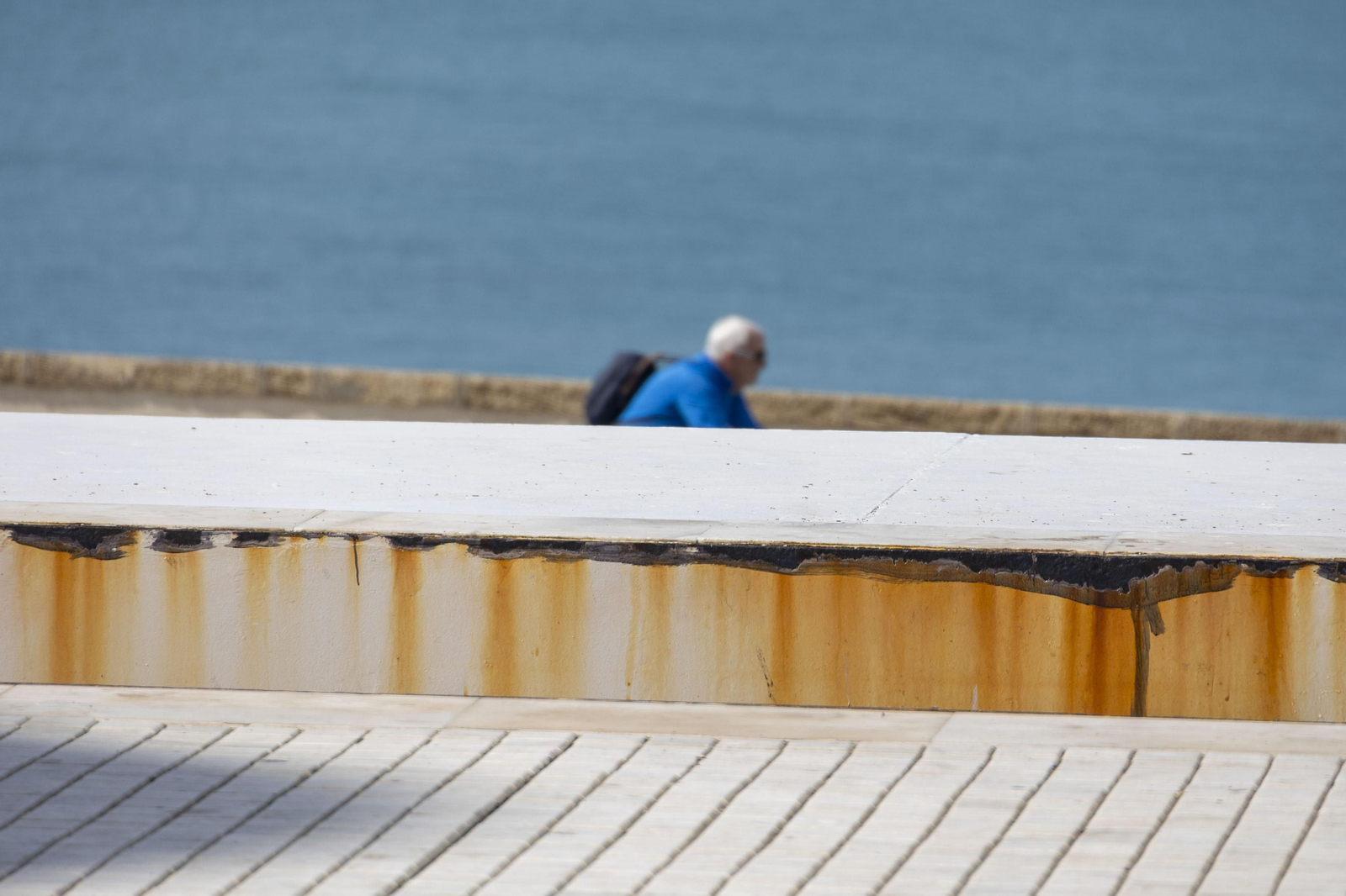 Las imágenes del mal estado de los paseos de Cádiz
