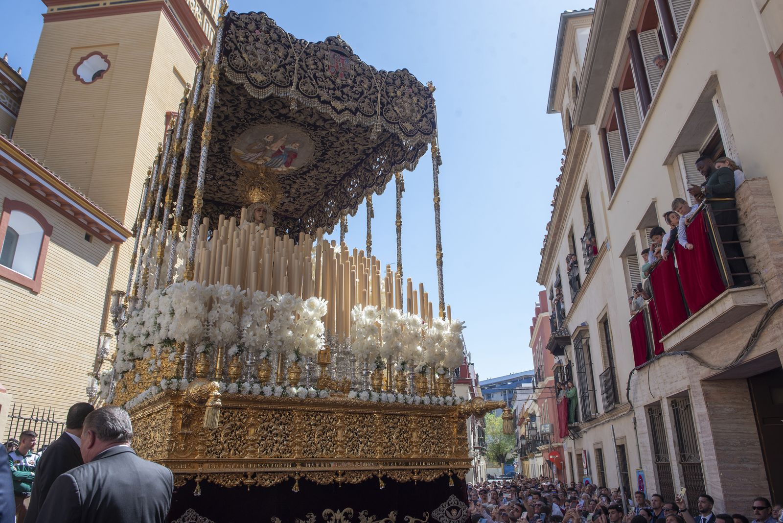 La Hermandad de San Bernardo, en imágenes