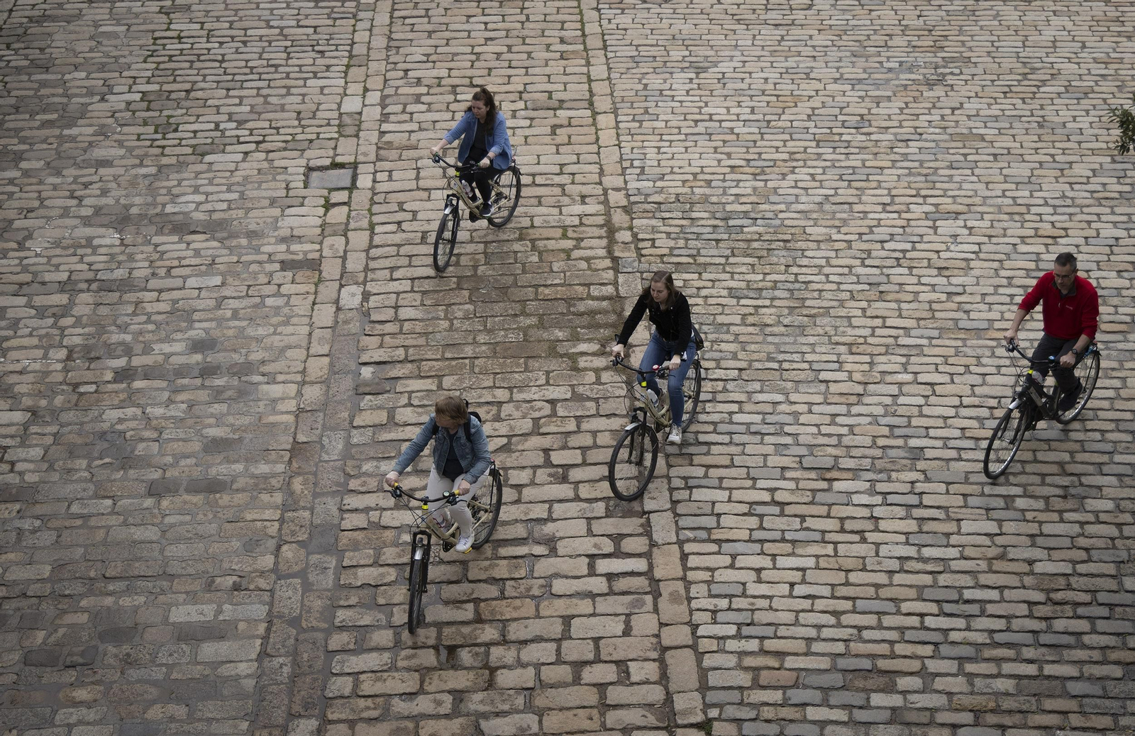 Varias personas circulan en bicicleta por Sevilla.