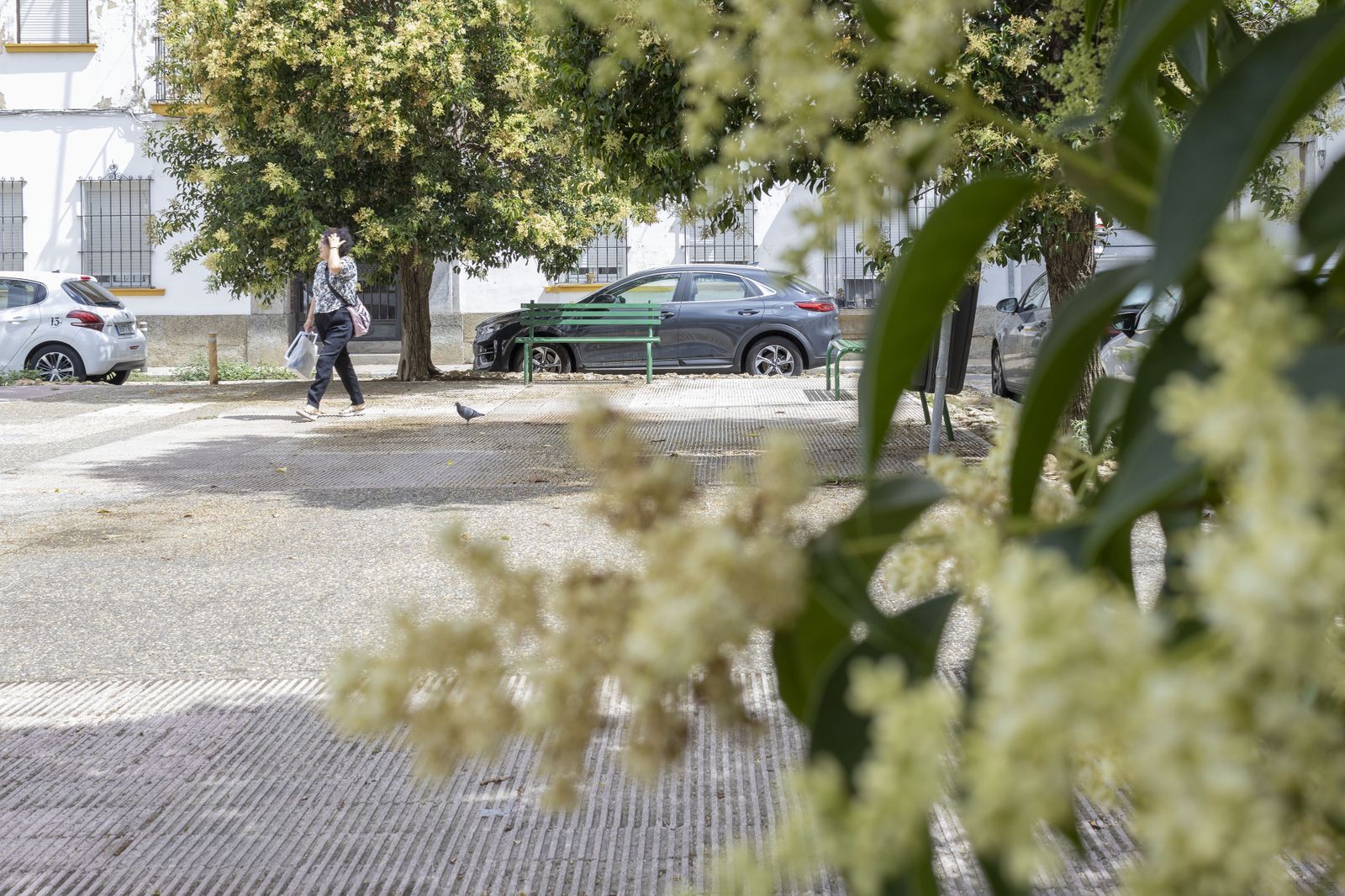 Imágenes del viernes 9 de junio en Huelva