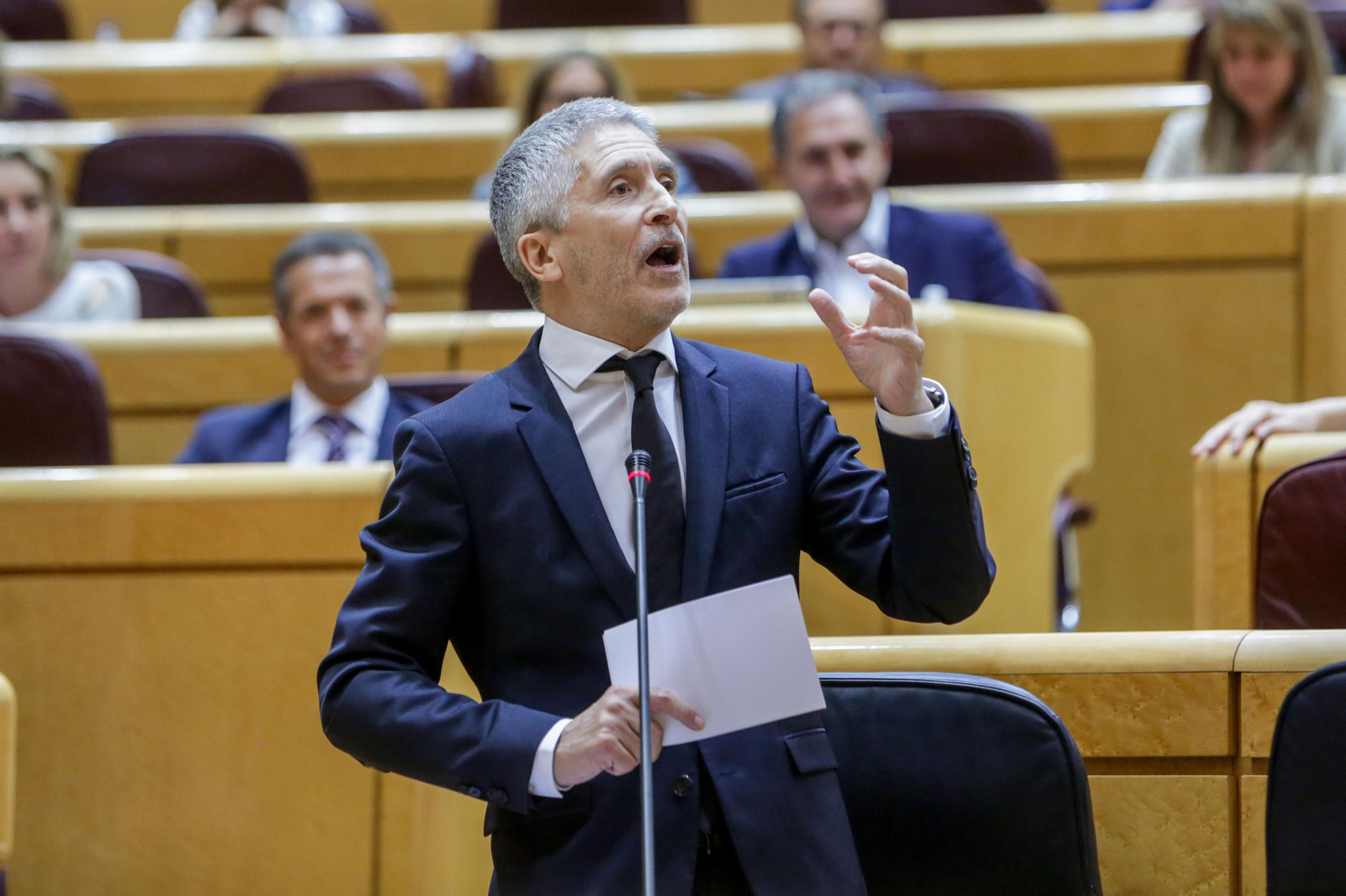 El ministro del Interior, Fernando Grande Marlaska.