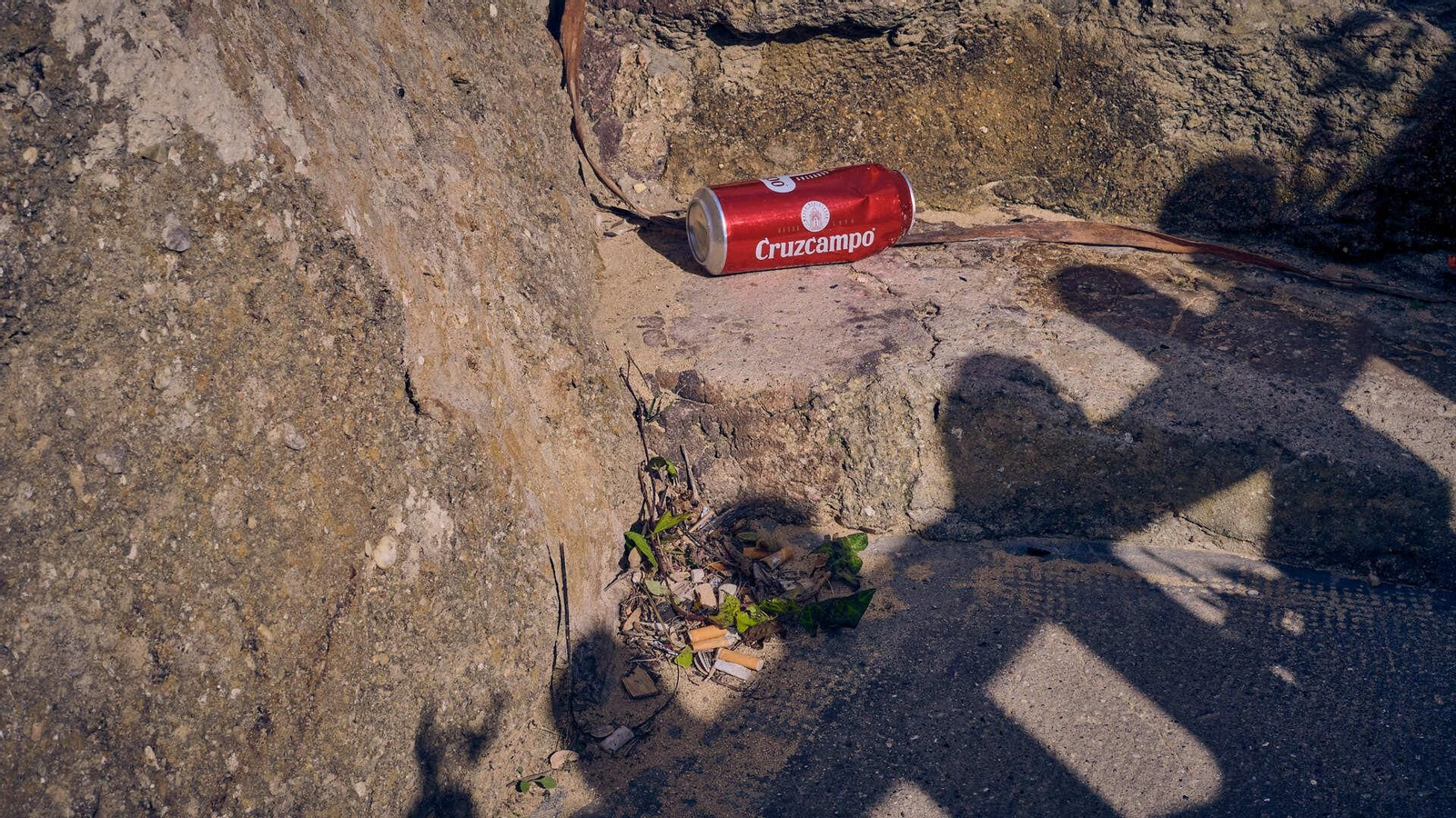 Basura y hierbajos junto al estanque de los patos.