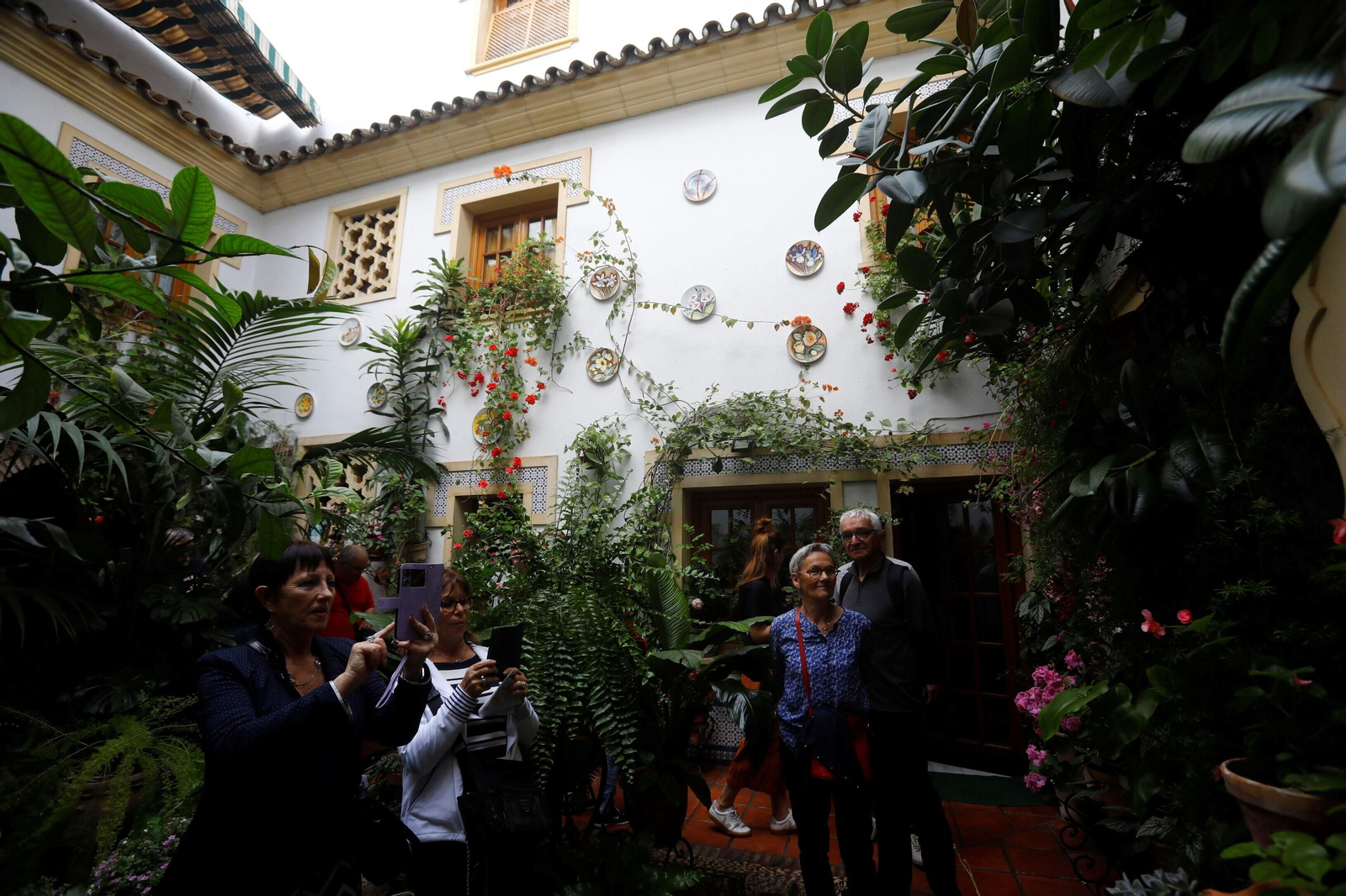 Los patios de Córdoba de la ruta Judería-San Francisco, en imágenes
