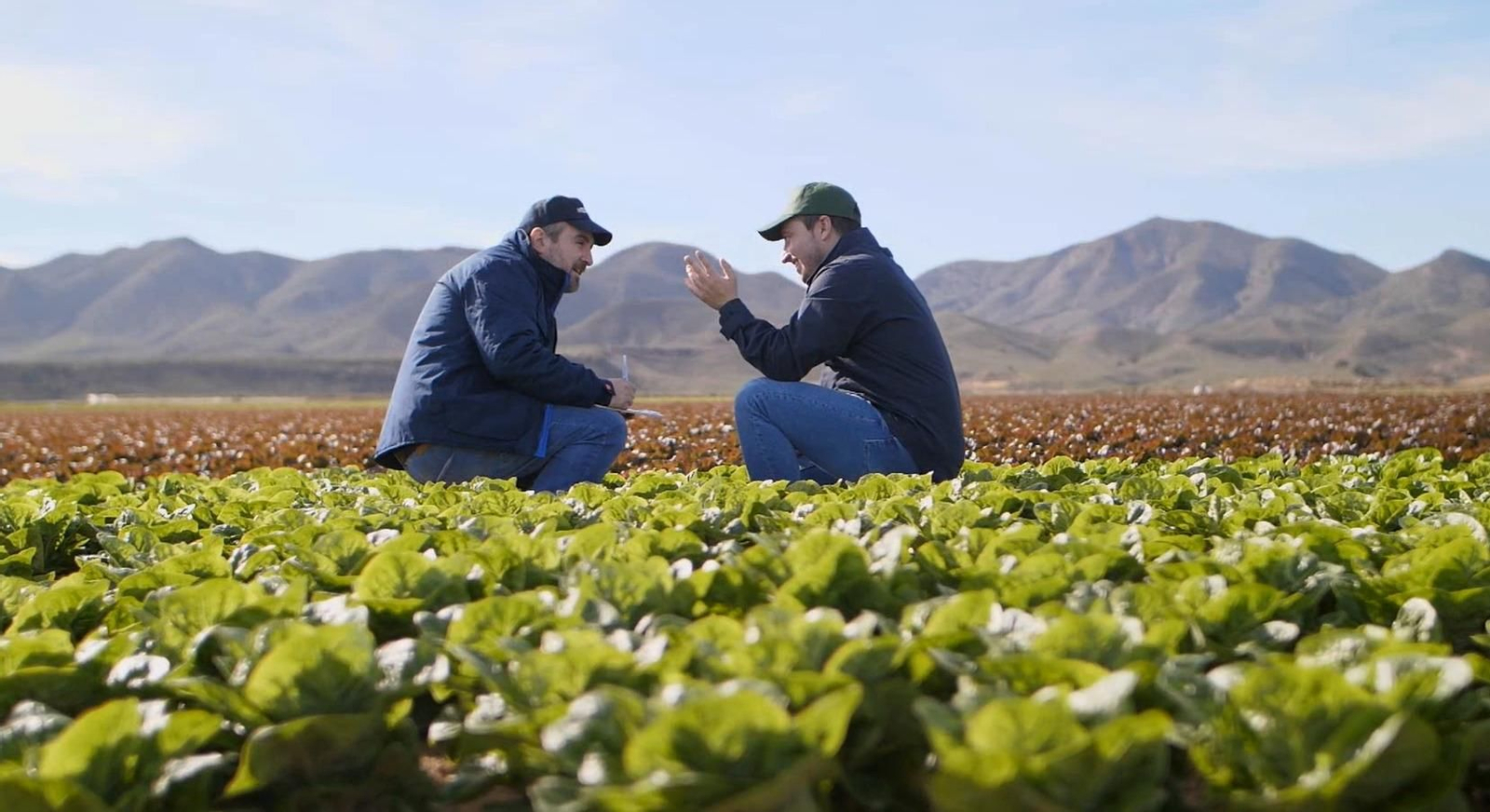 Agrupapulpí dispone de más del 3.000 hectáreas propias de cultivo.