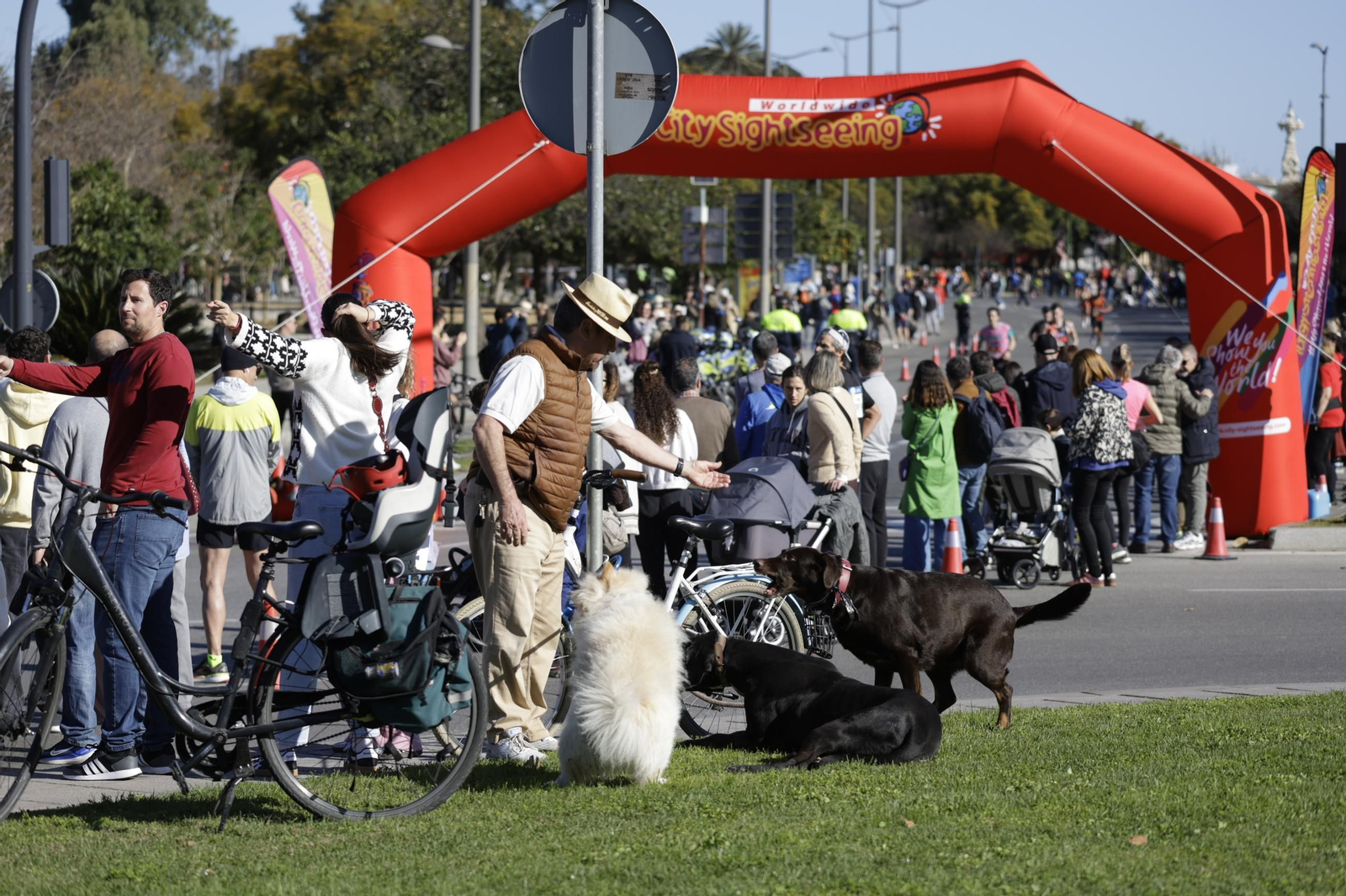 Búscate en el Zurich Maratón de Sevilla 2025