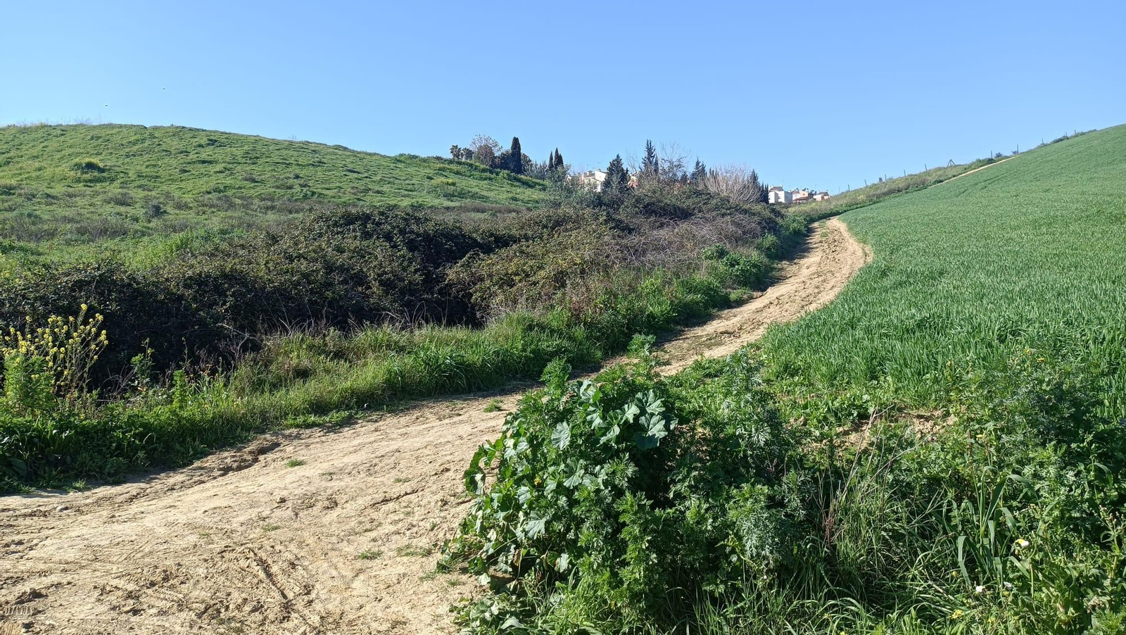 Tenemos que subir por esta cuesta para alcanzar Castilleja de Guzmán.