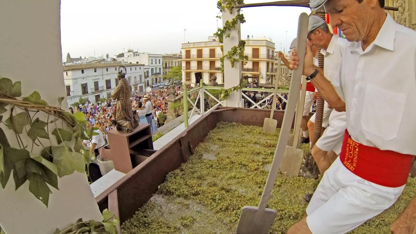 Una imagen del tradicional acto de la pisa de la uva en la Catedral.