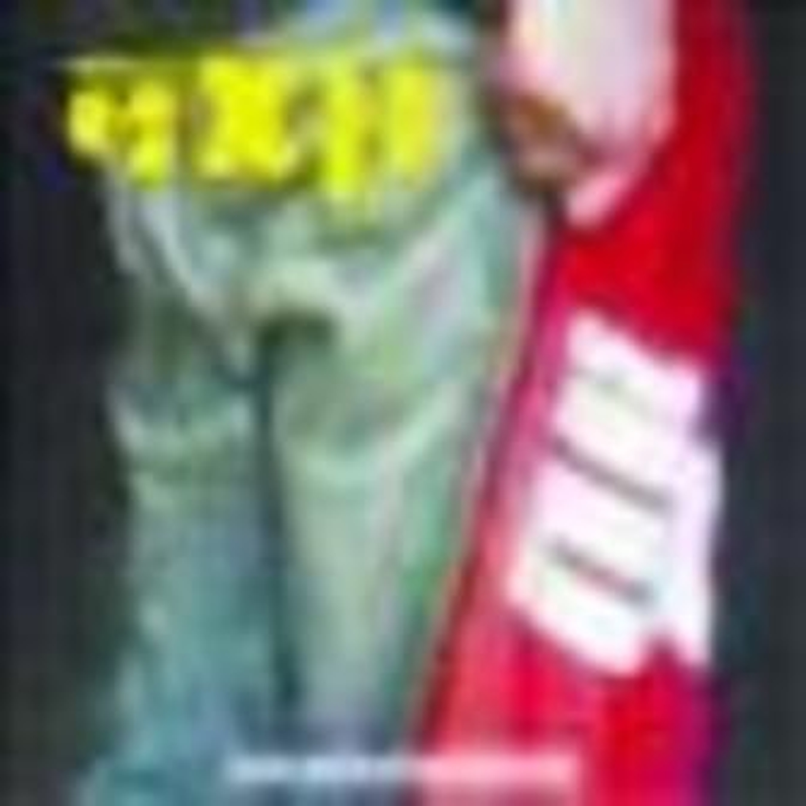 Memoria de la descomposición