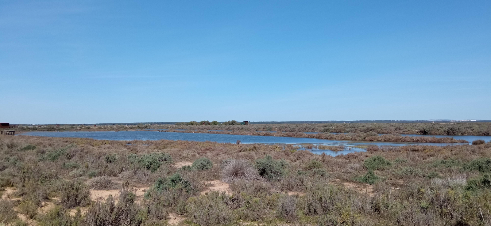 Las imágenes de la ruta de las salinas del Astur y los pinares de Punta Umbría