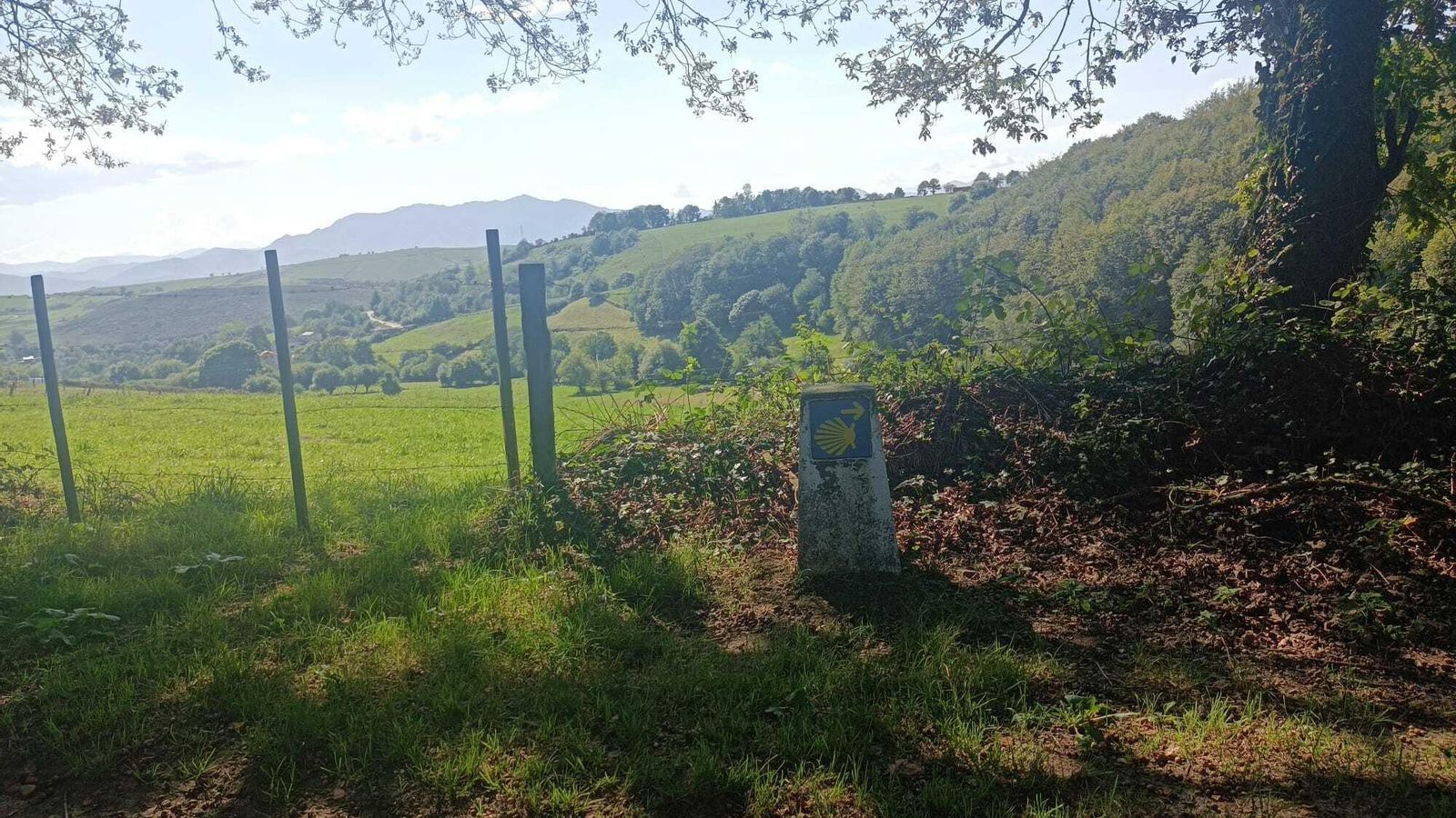 Un mojón en el lateral del camino. Casi siempre está flanqueado por árboles.