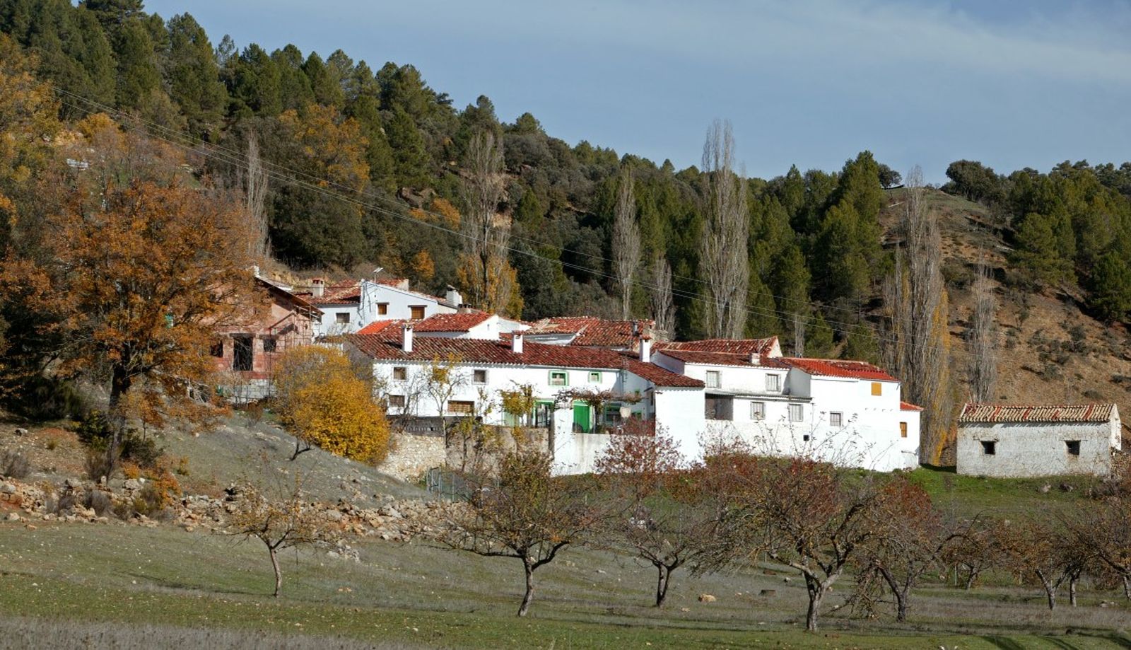 La aldea de Los Anchos, en el término municipal de Santiago-Pontones, es uno de los enclaves rurales donde la nieve transforma el paisaje en pleno corazón del parque natural.