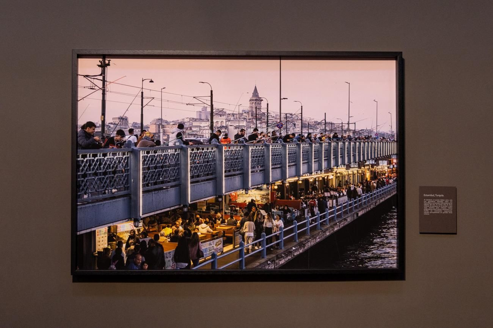 One Health en imágenes: la fotogalería de Katy Gómez que te hará reflexionar sobre la salud global