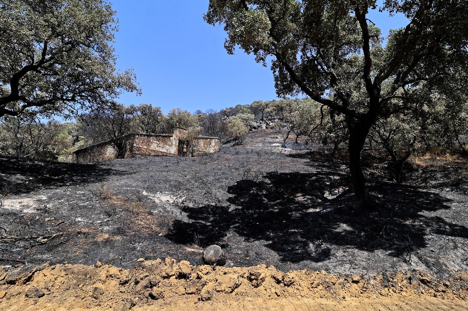 Imágenes de los vecinos de Los Romeros ya en sus casas tras el incendio