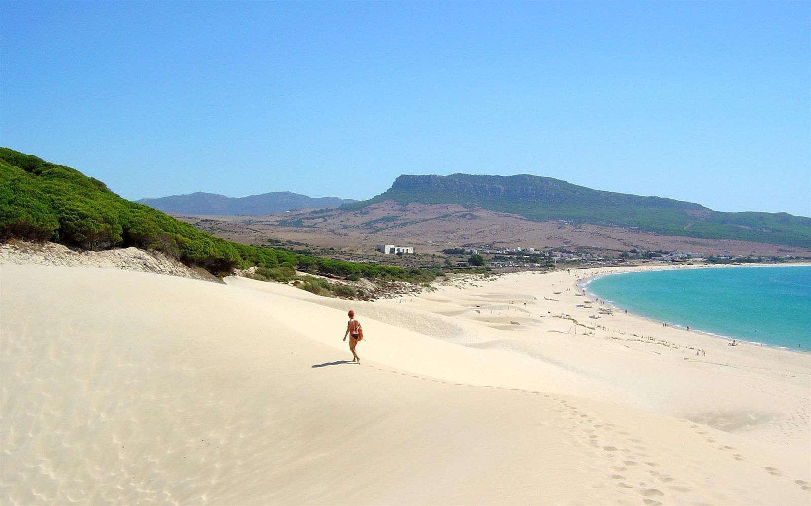 Playa de Bolonia vista desde la duna.