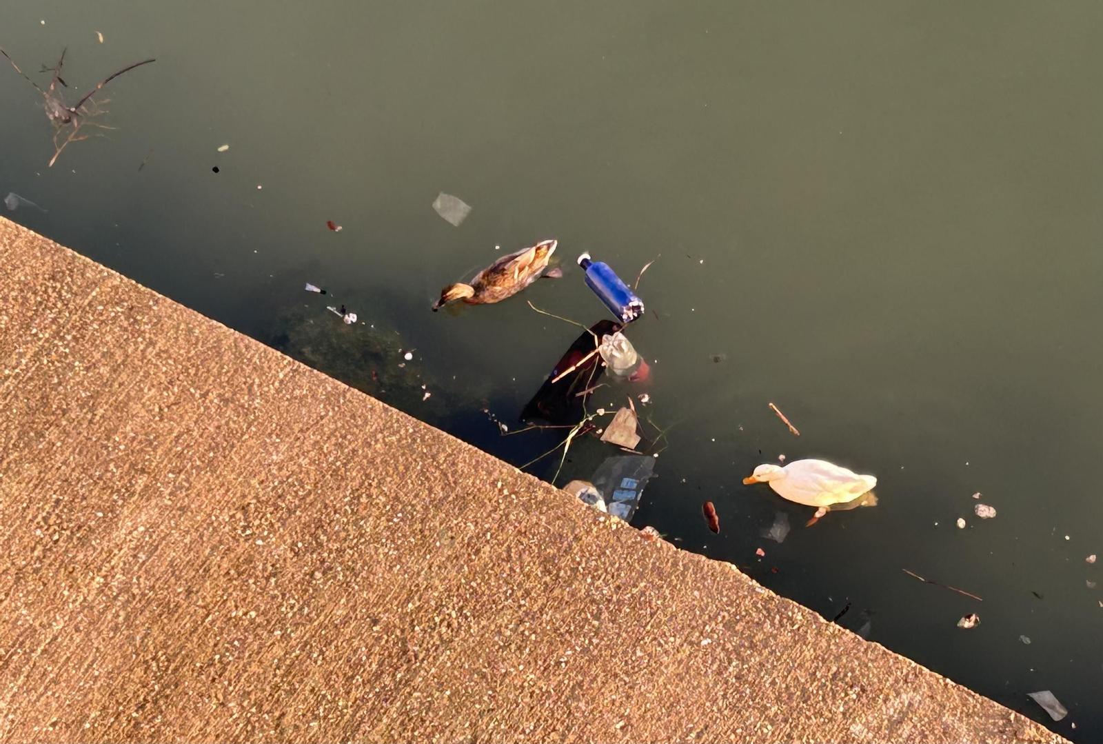Así amanece hoy el Guadalquivir en Sevilla