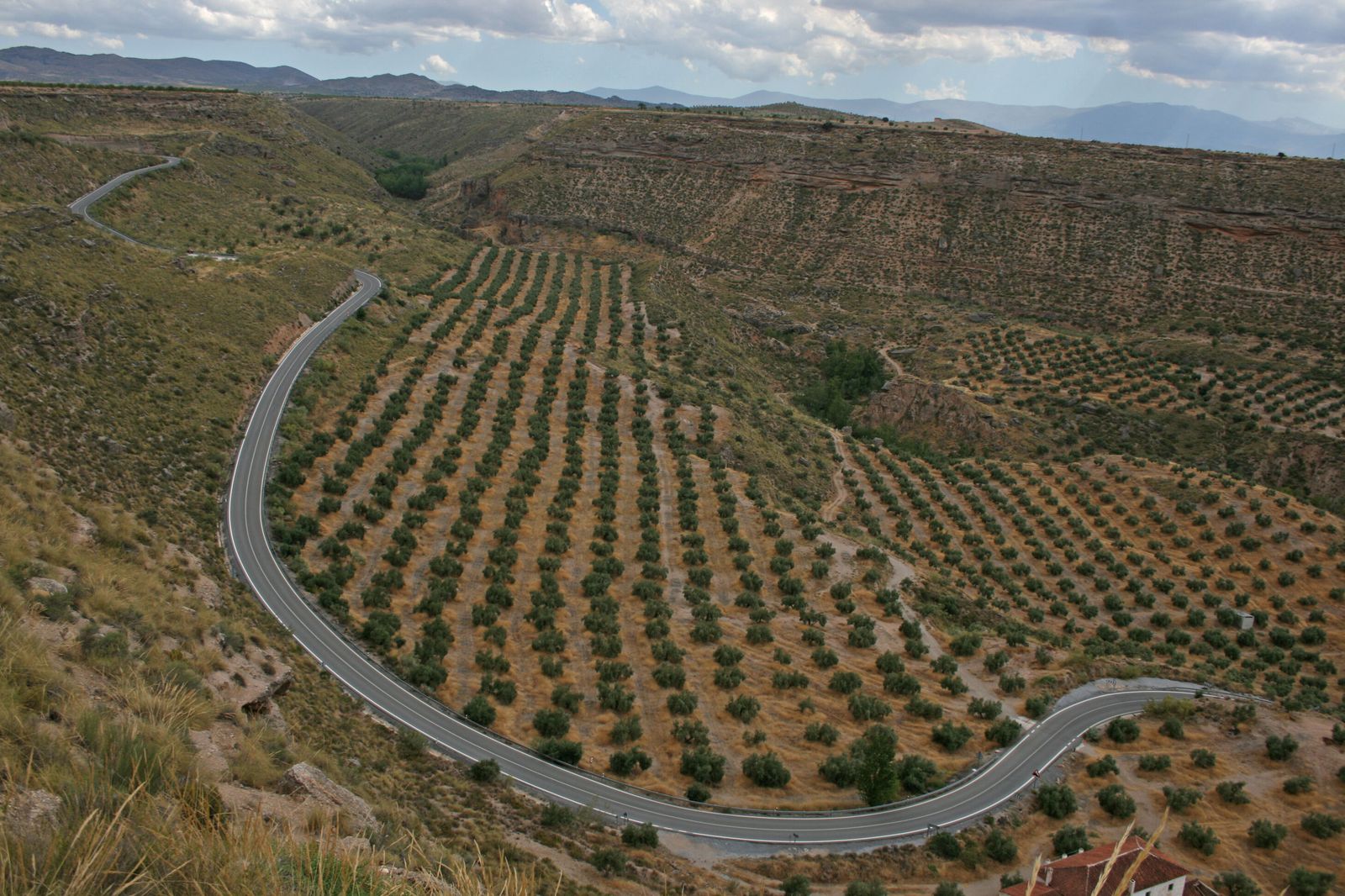 La carretera de la localidad granadina de Gor