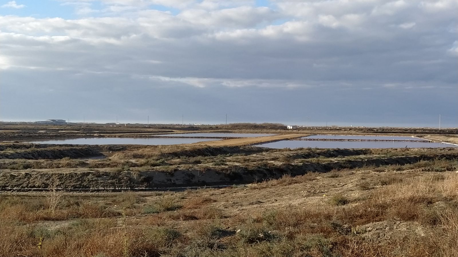 Zona de salinas y esteros.