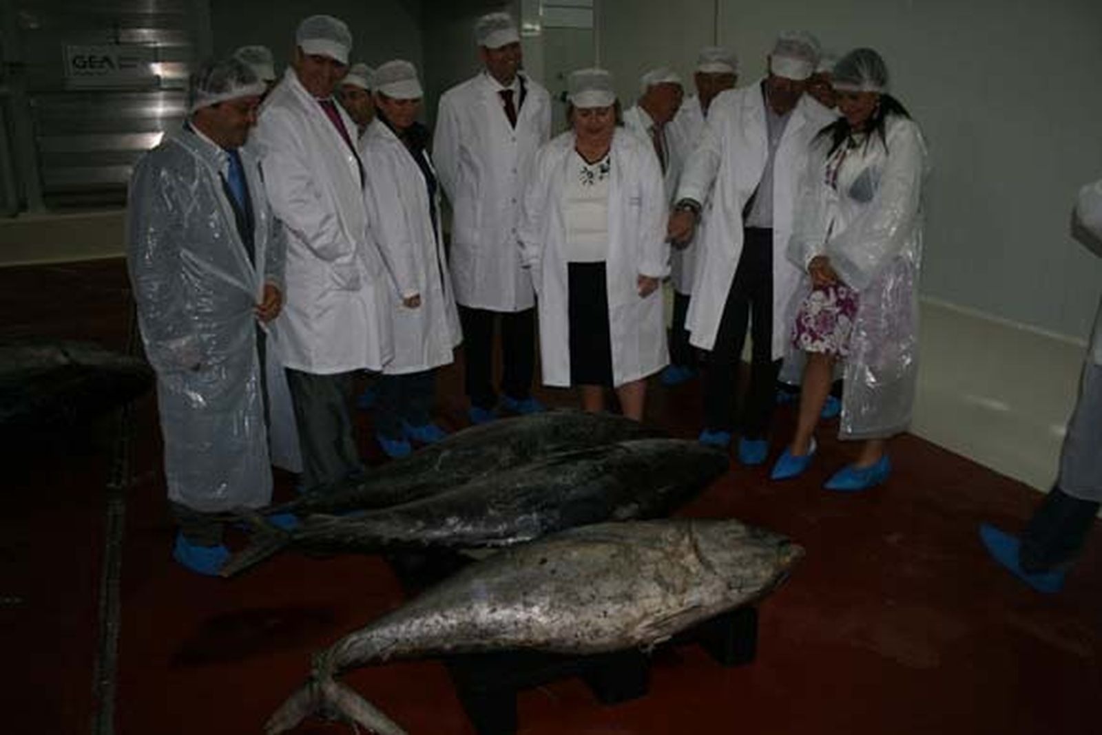Clara Aguilera inaugura la nueva fábrica de salazones y conservas Herpac, en Barbate

Foto: Manuel Aragon Pina