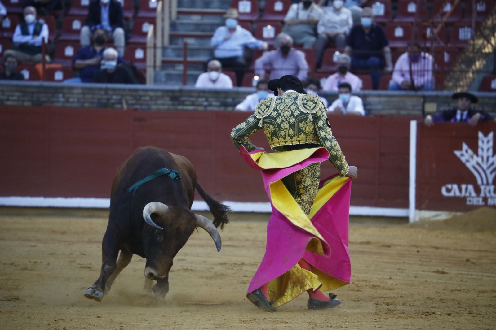 Las fotografías de la novillada con picadores de la Feria Taurina de Córdoba