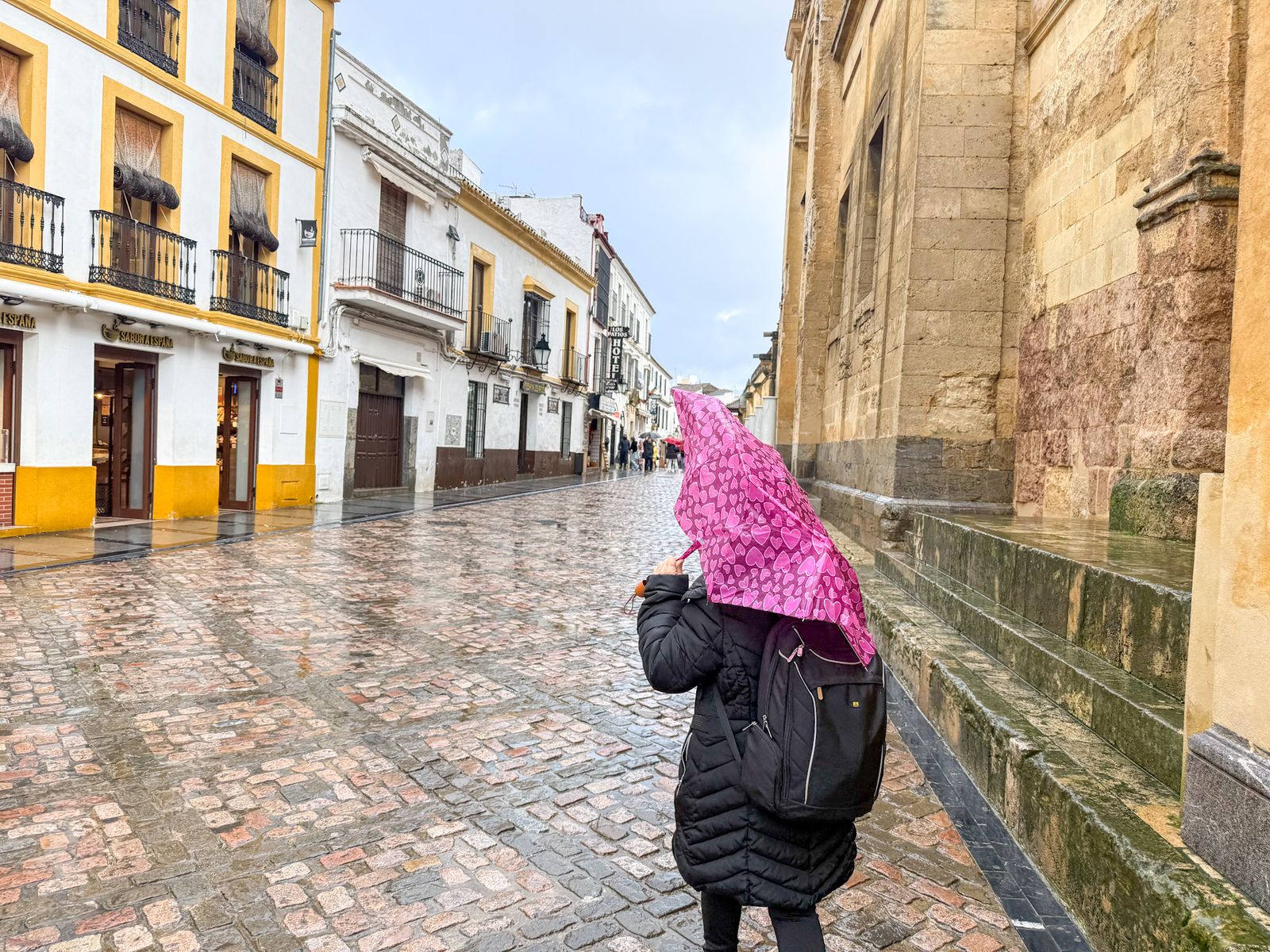 Las fuertes rachas de viento y la lluvia dejan las calles de Córdoba vacías