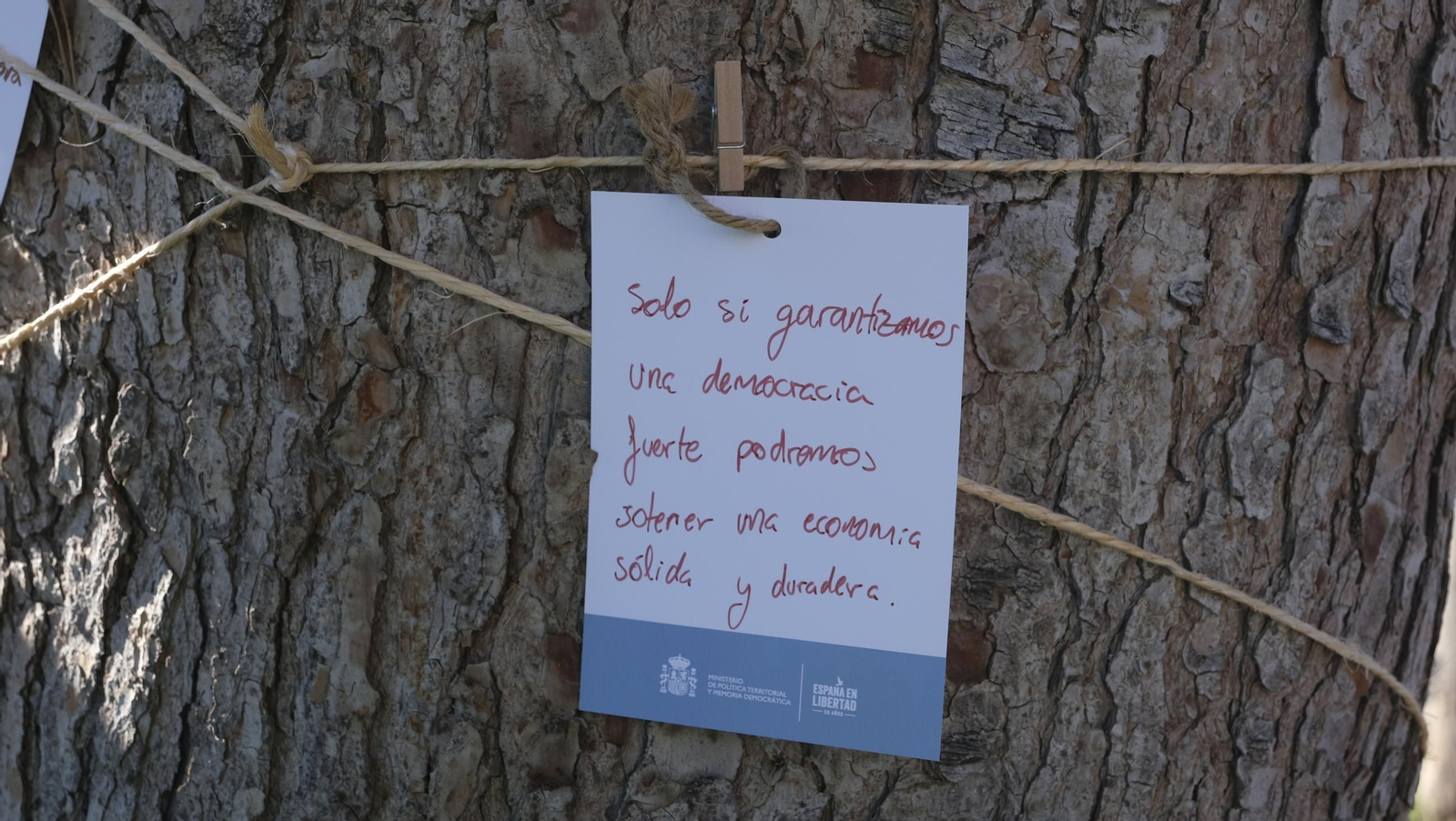 El árbol de la democracia de la Universidad de Almería, en imágenes