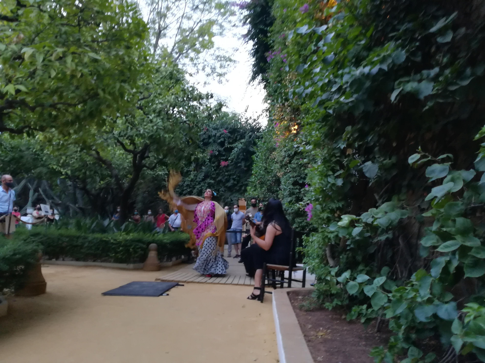 Alegrías, bulerías, seguiriyas, soleas, y otros muchos palón pondrán banda sonora a las historias del Palacio de las Dueñas.