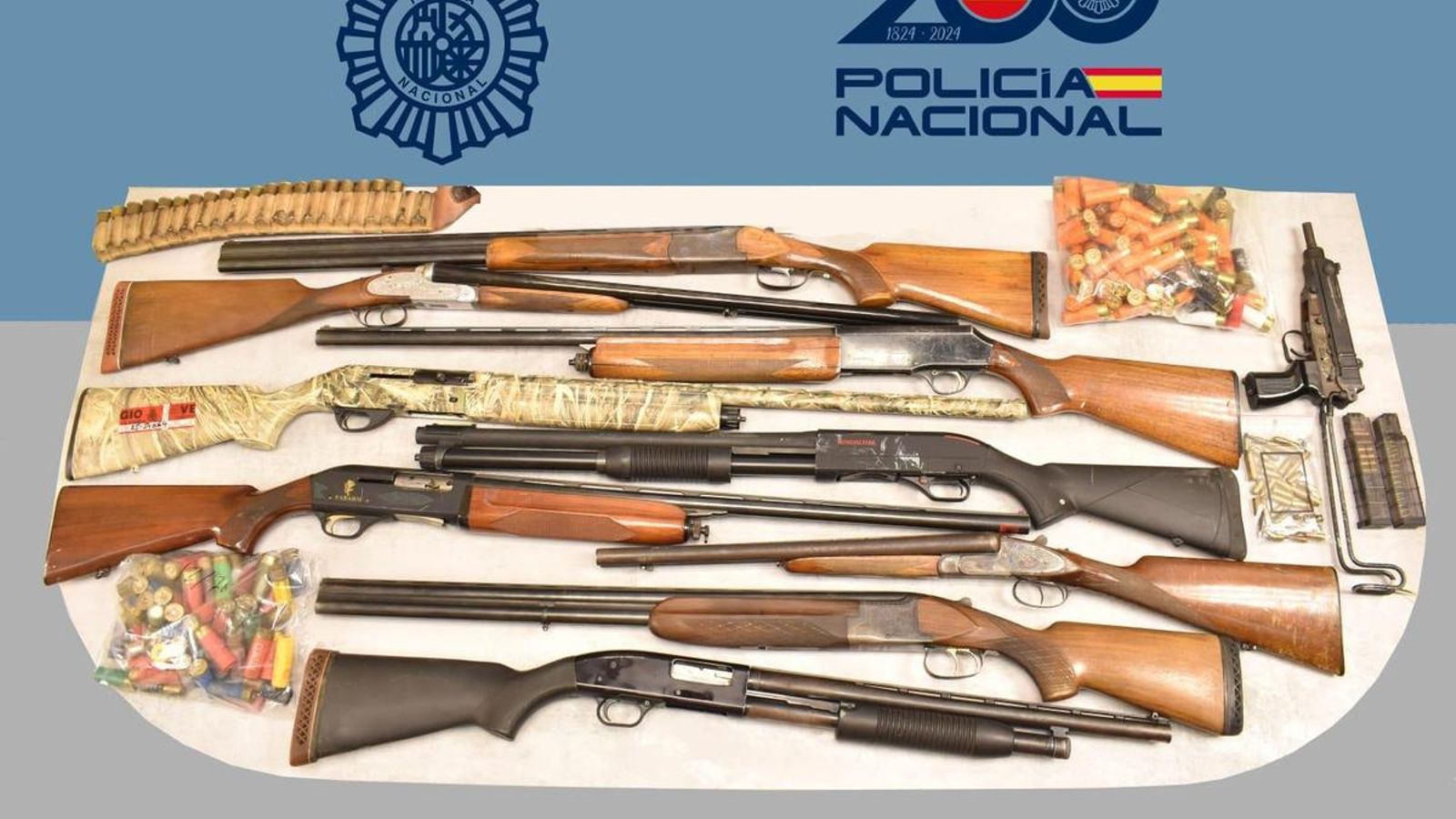 Armas y munición incautadas durante la operación desarrollada en El Cerro en Linares.