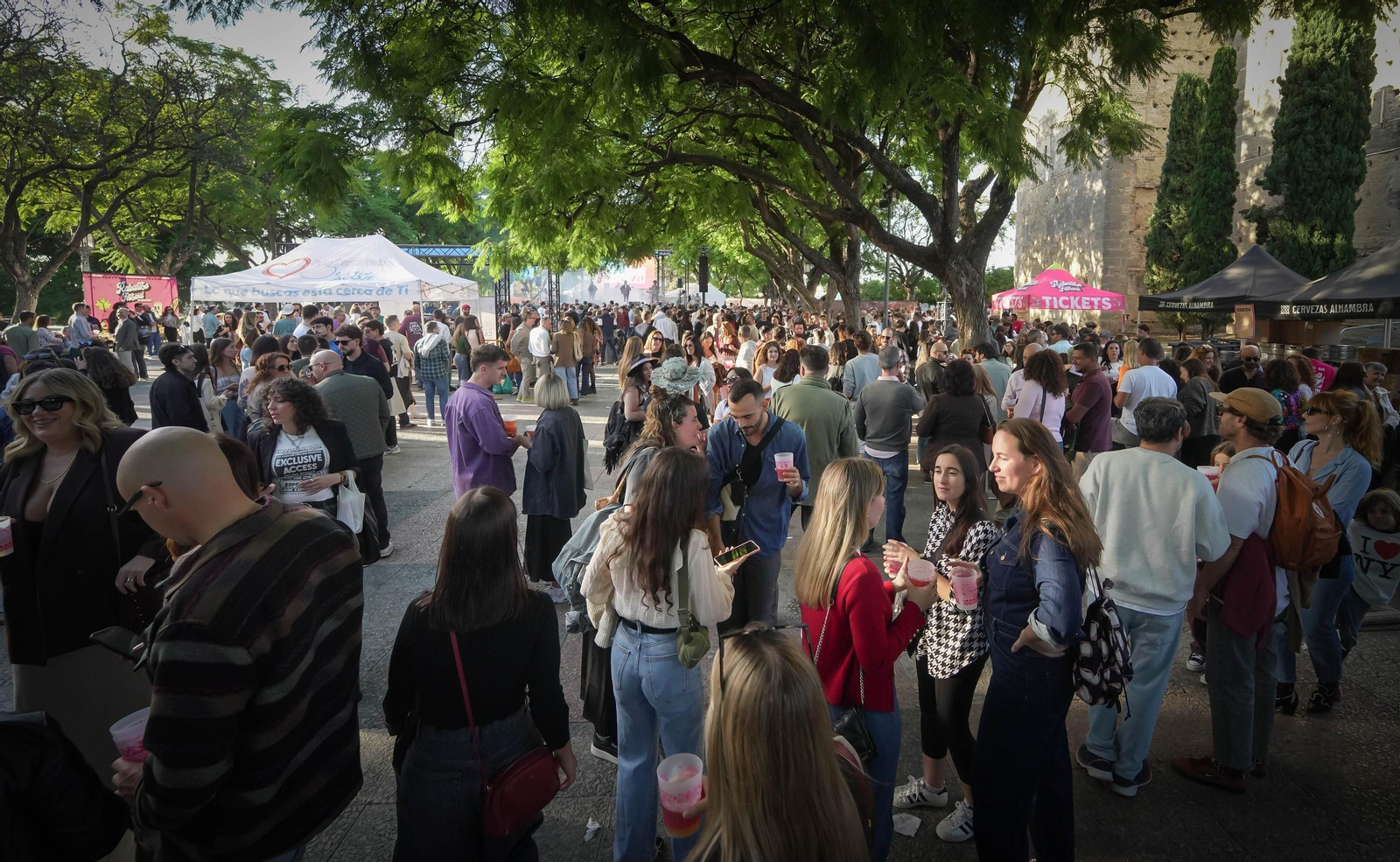 Búscate en el Rabanito Festival Jerez 2025