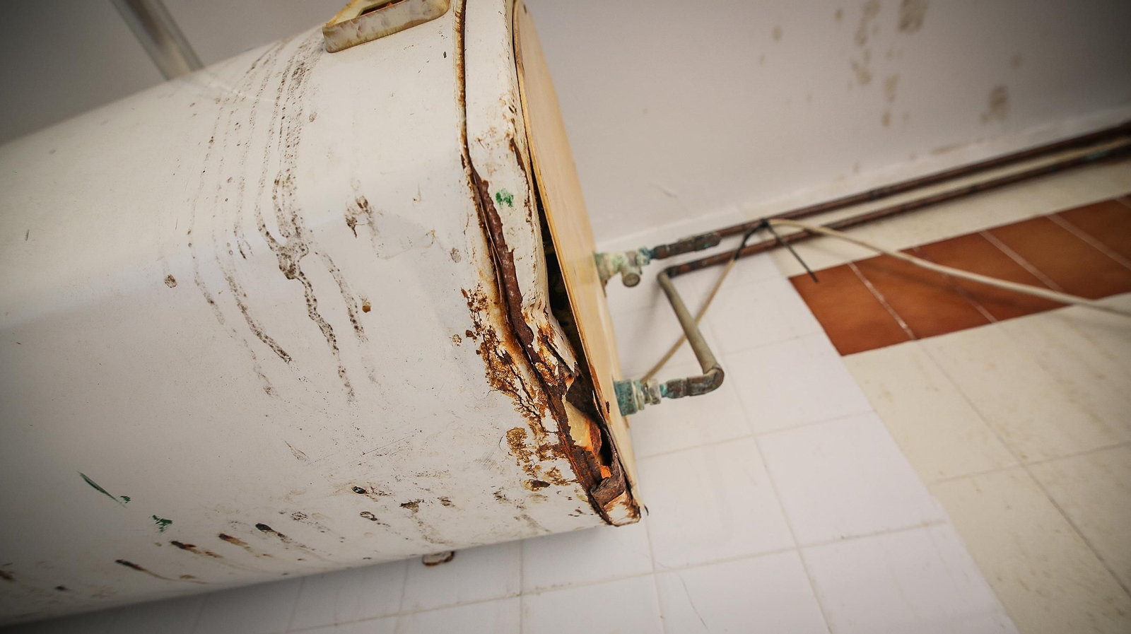 Imágenes del mal estado del CEIP Tartesos