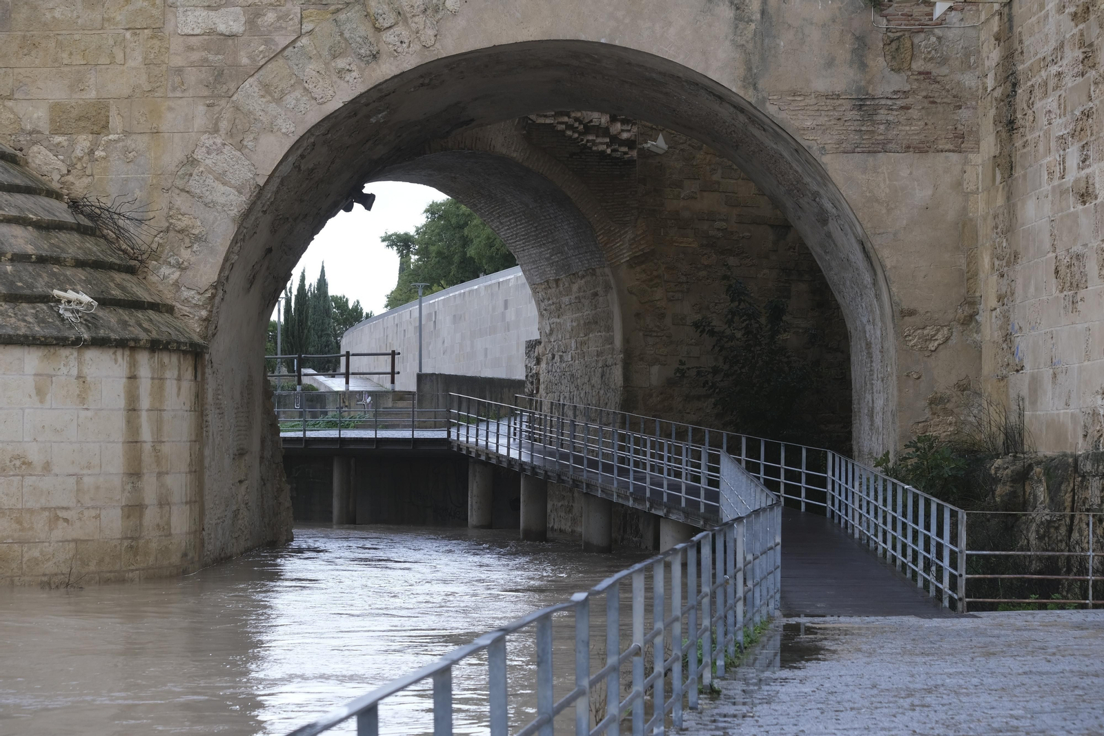 La crecida del río Guadalquivir tras las lluvias en Córdoba, en imágenes
