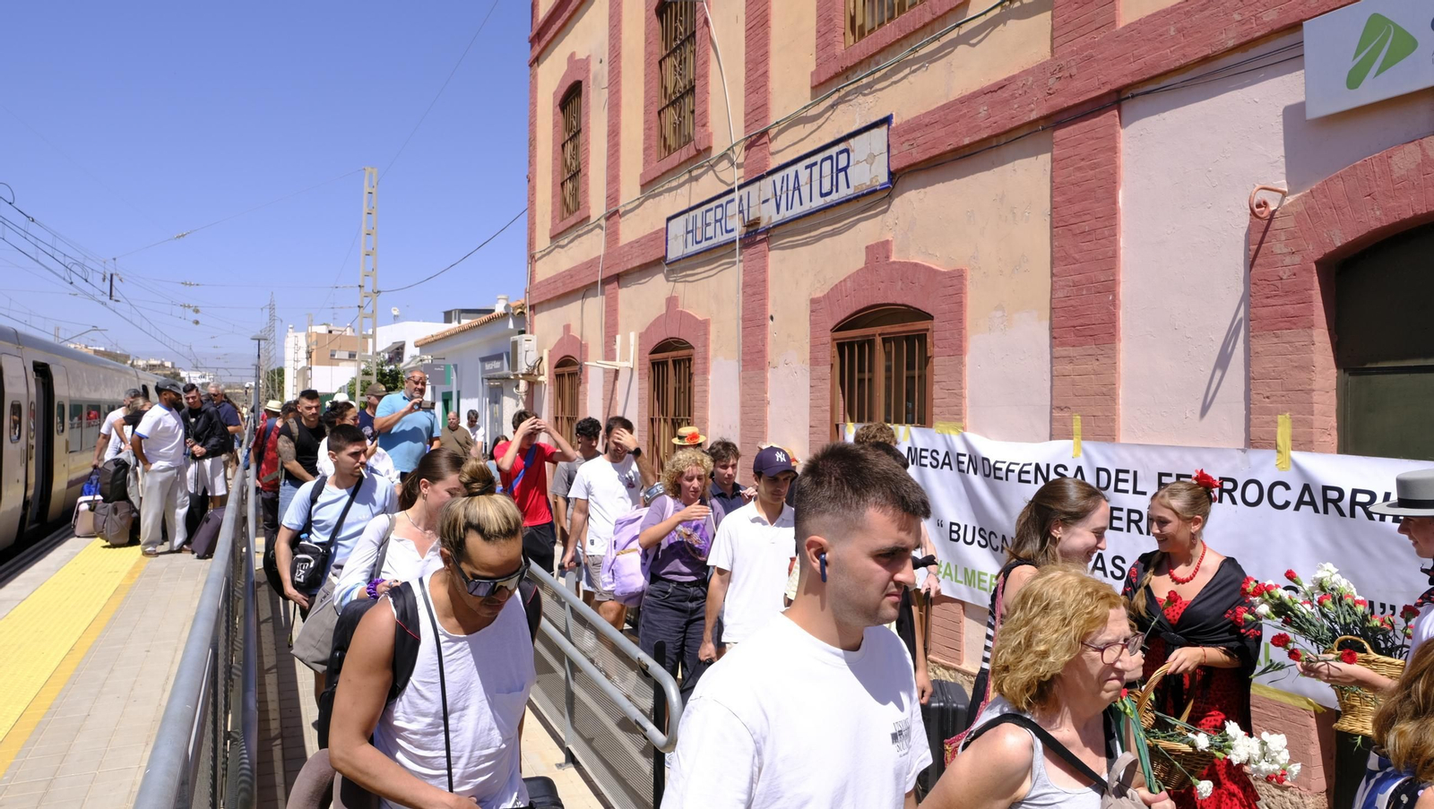 Claveles en defensa del tren en la provincia de Almería, en imágenes